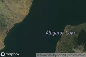 Alligator Lake
