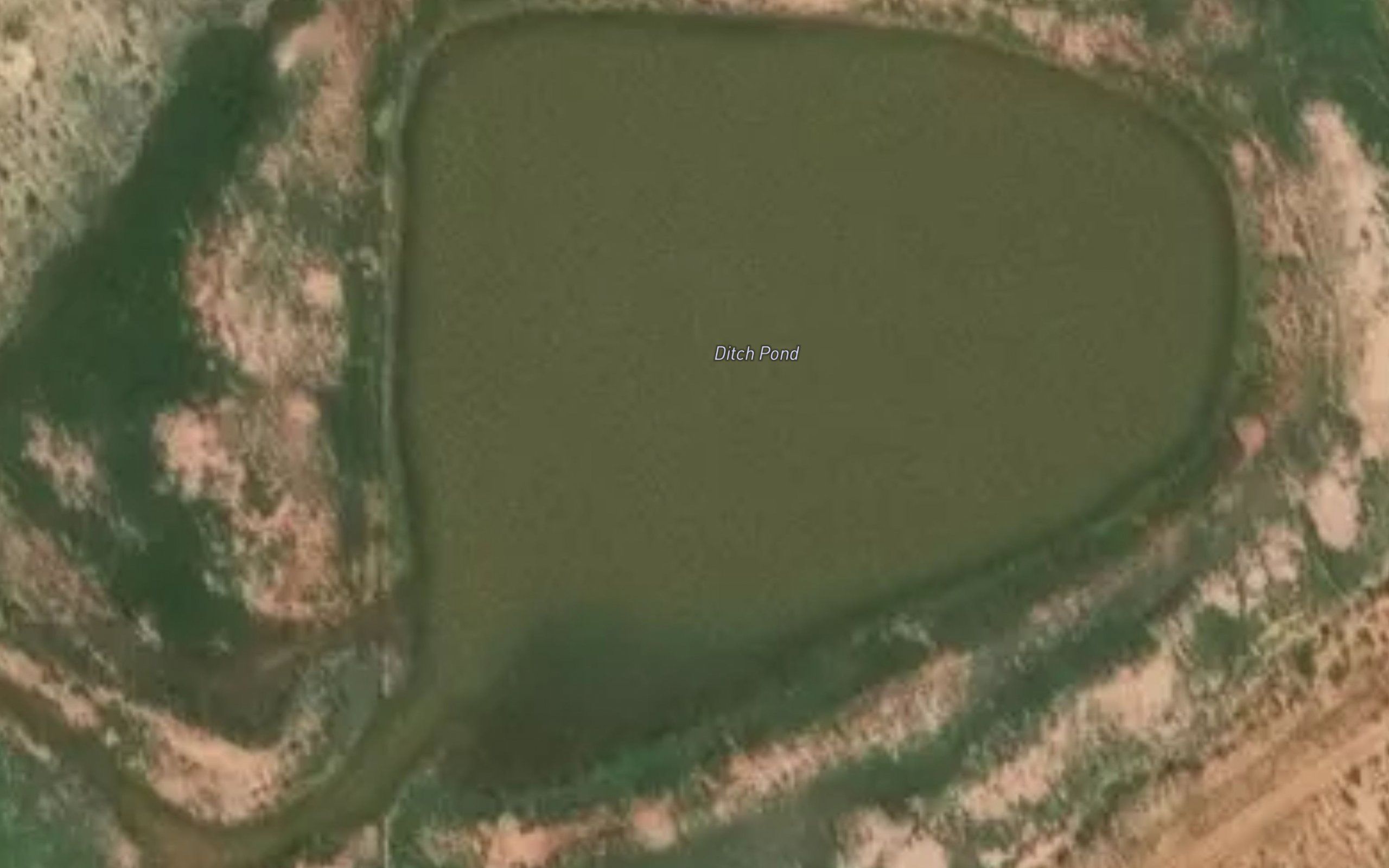 Ditch Pond
