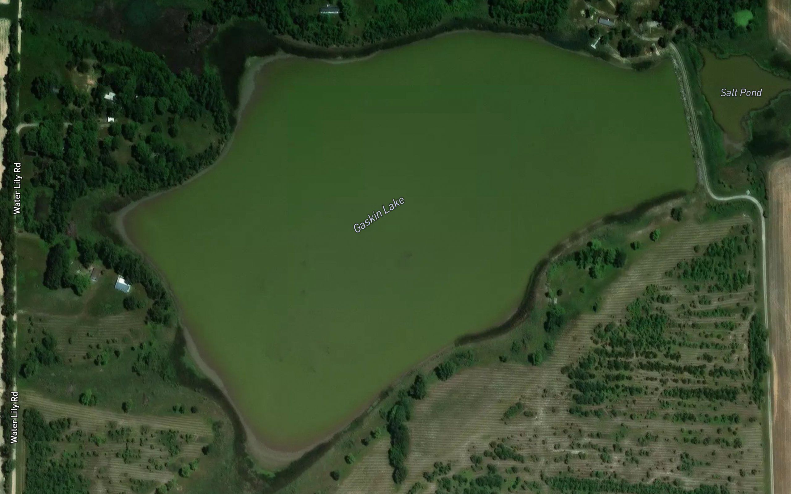 Gaskin Lake