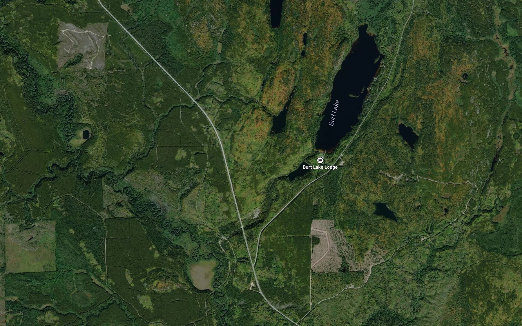 Satellite map of the Burt Creek