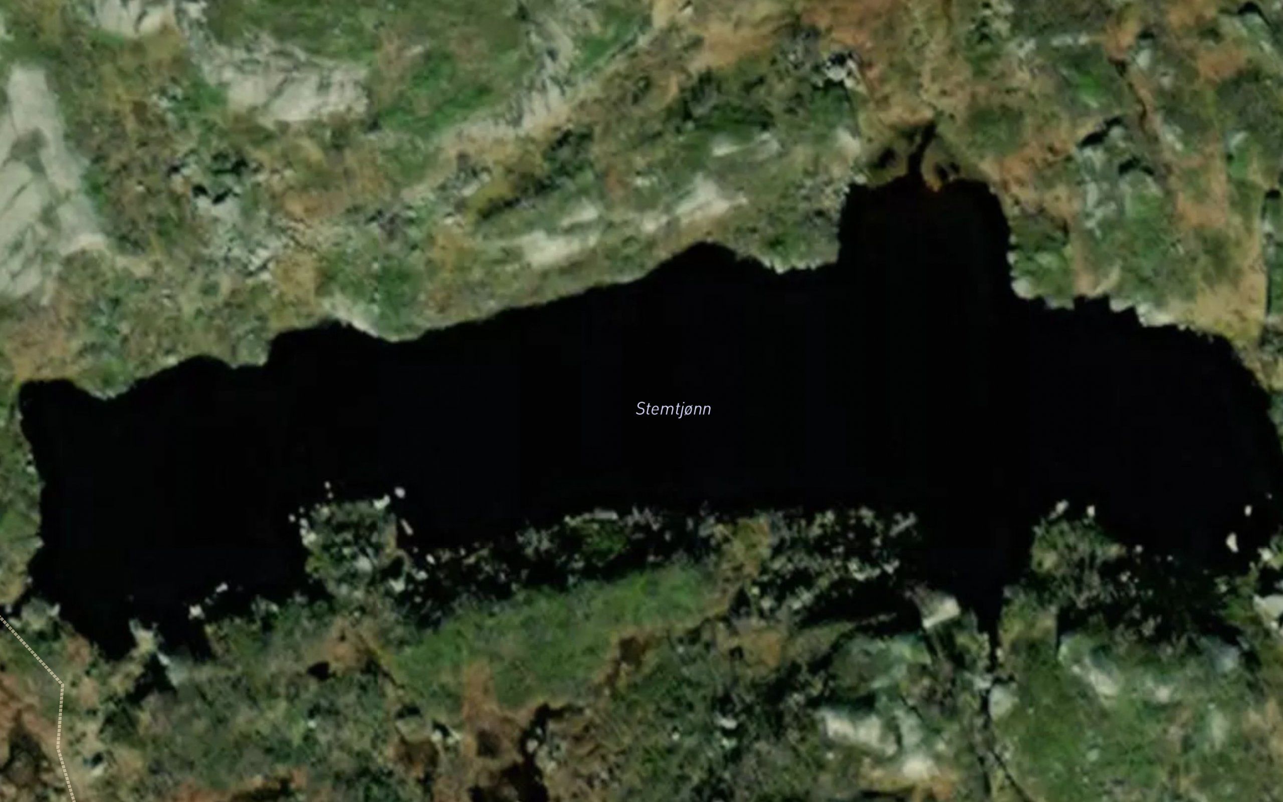 Stemtjorn