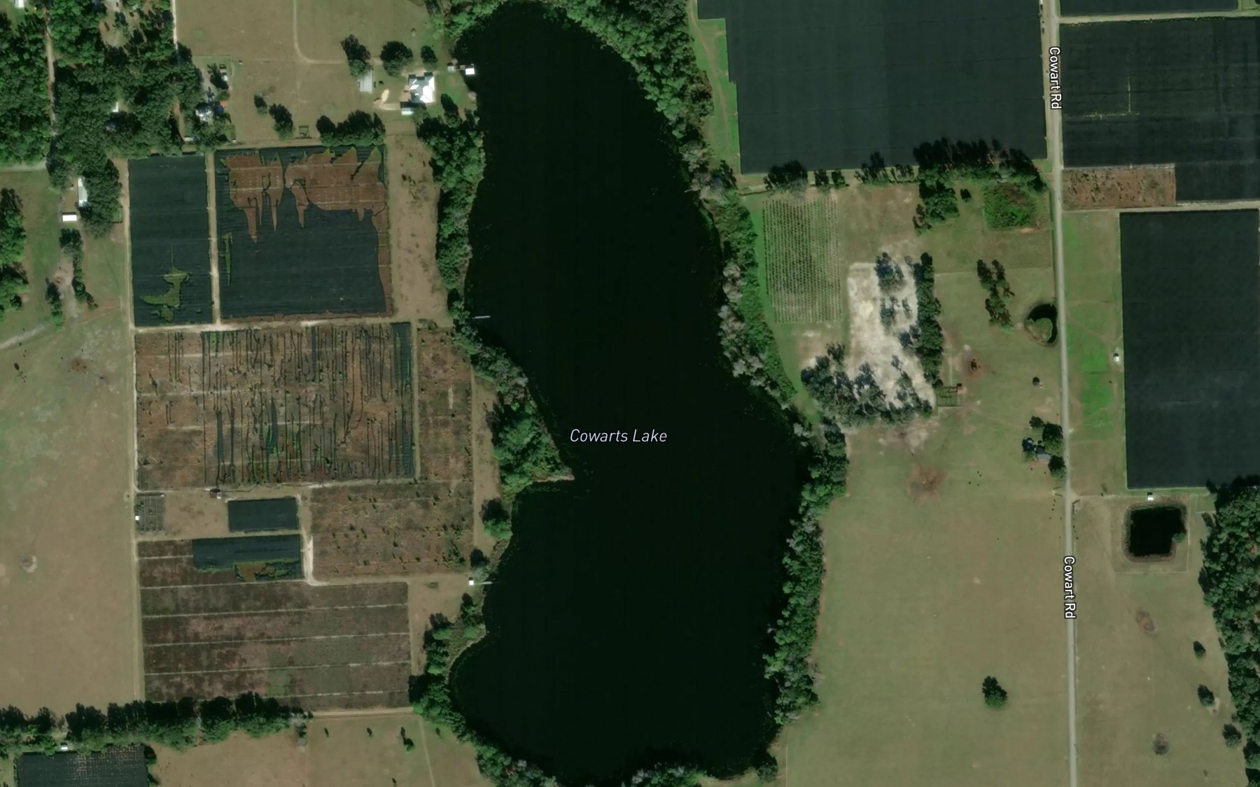 Satellite map of the Cowarts Lake