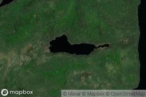 Lac Bacon