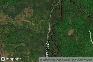 Bell Brook