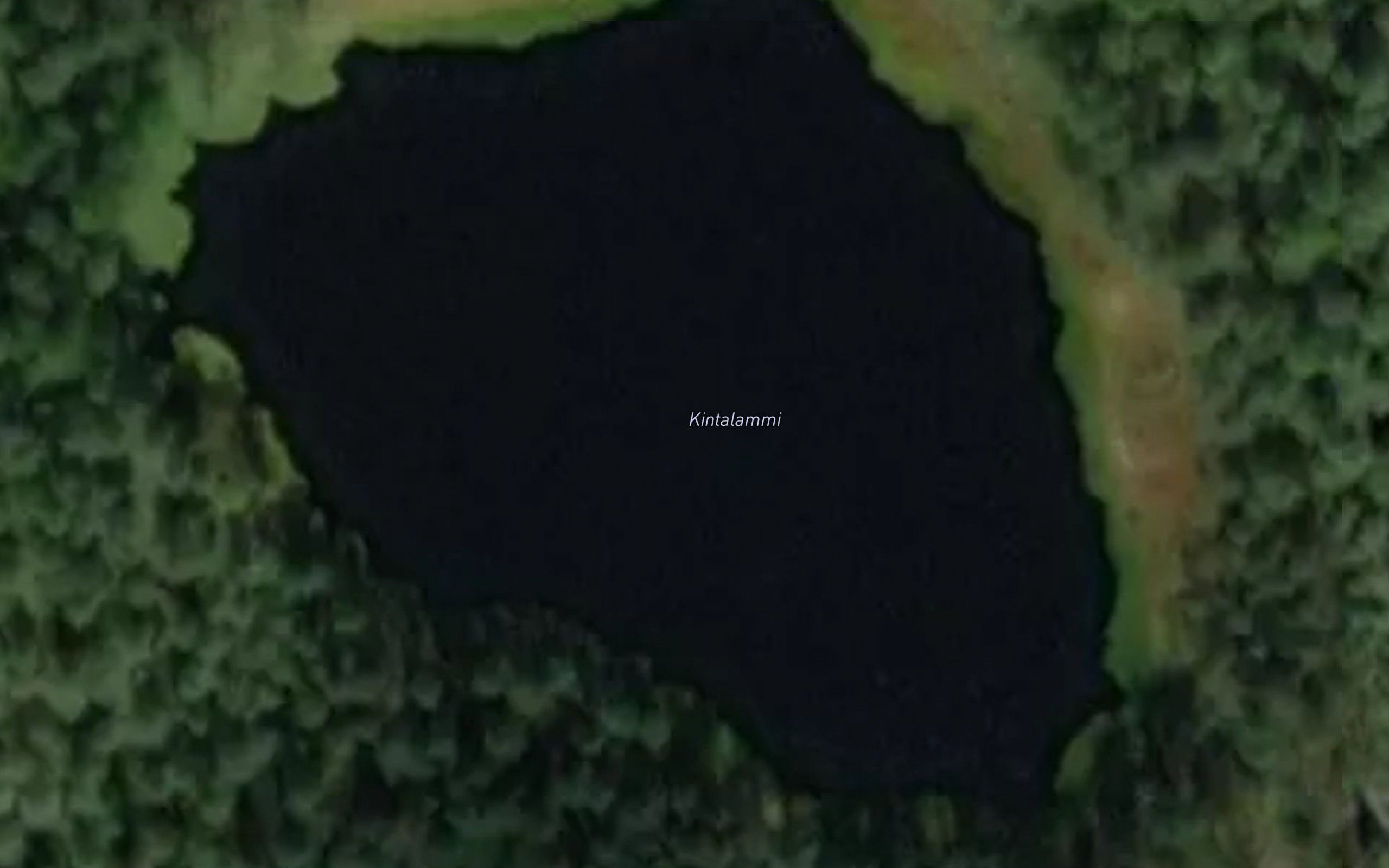 Kintalammi
