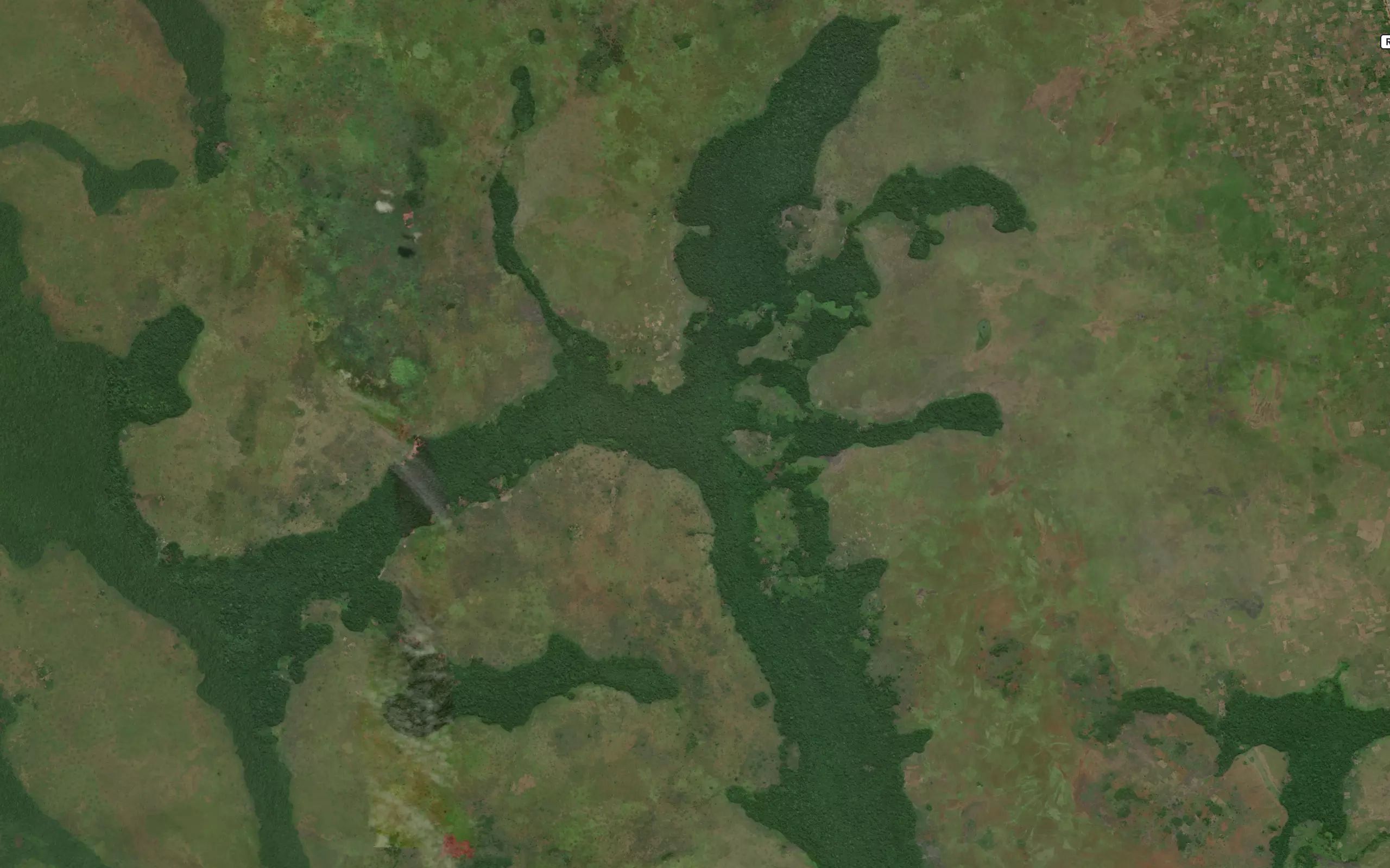 Zukulaswe
