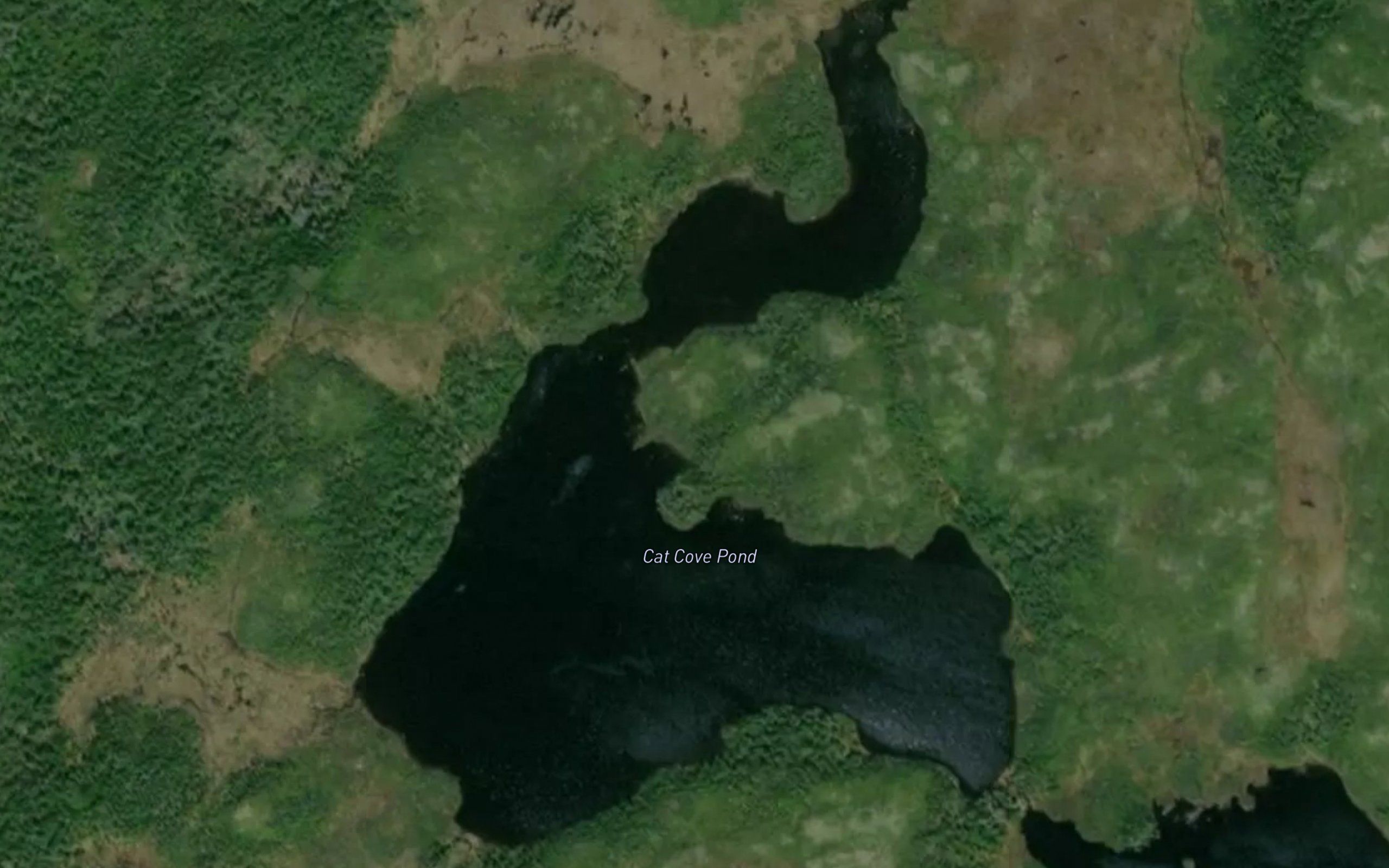 Cat Cove Pond