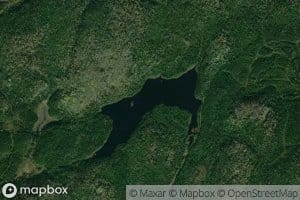 Lac Probe