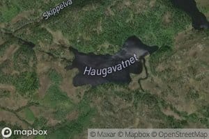 Haugavatnet