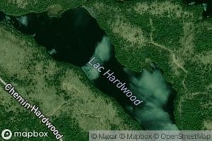 Lac Hardwood