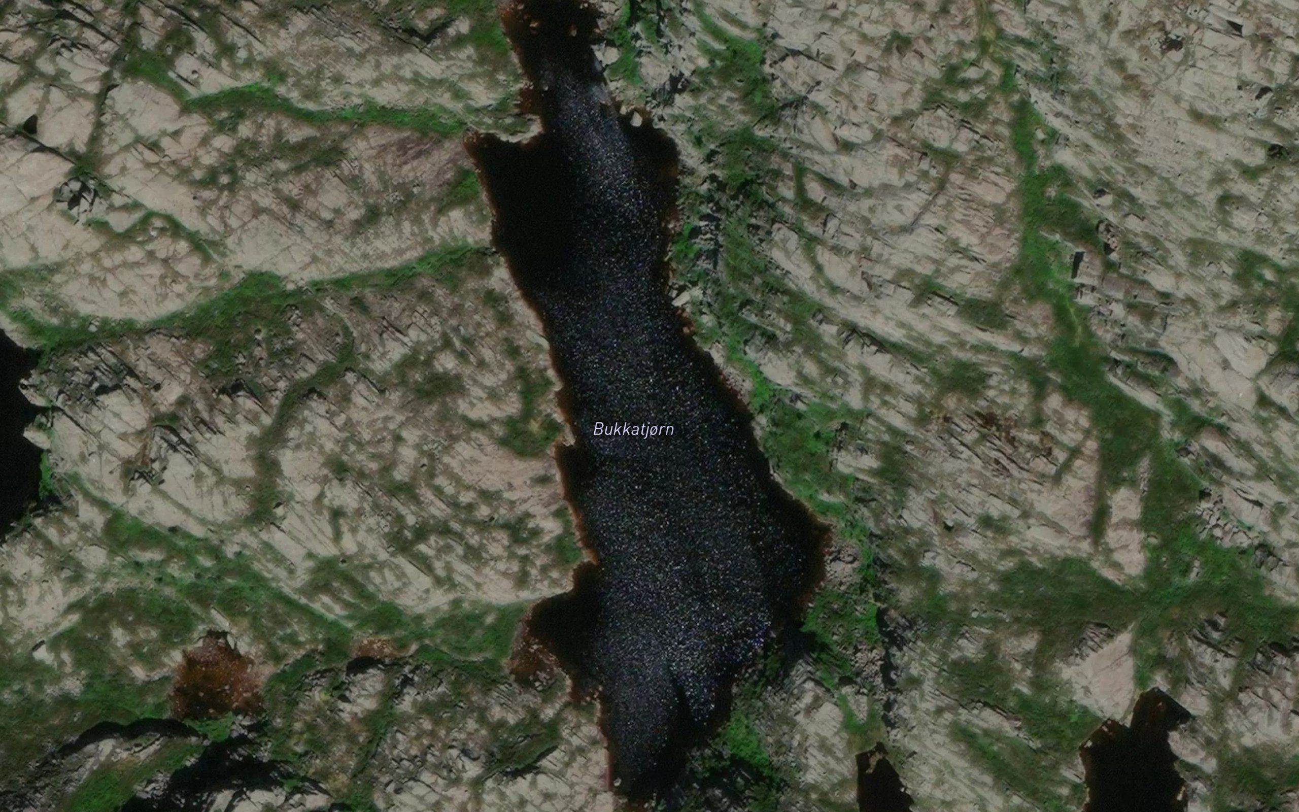 Bukkatjorn