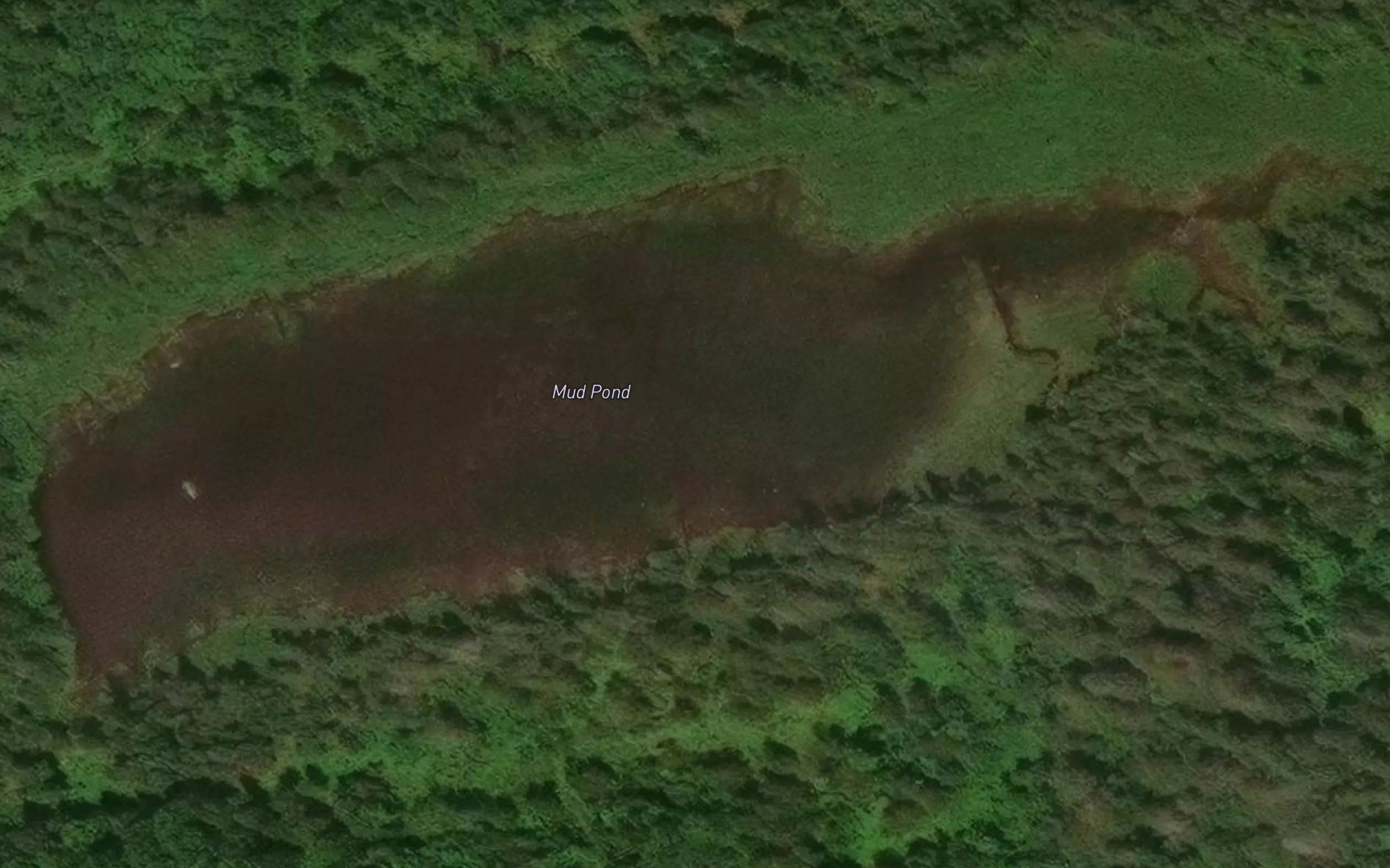 Mud Pond