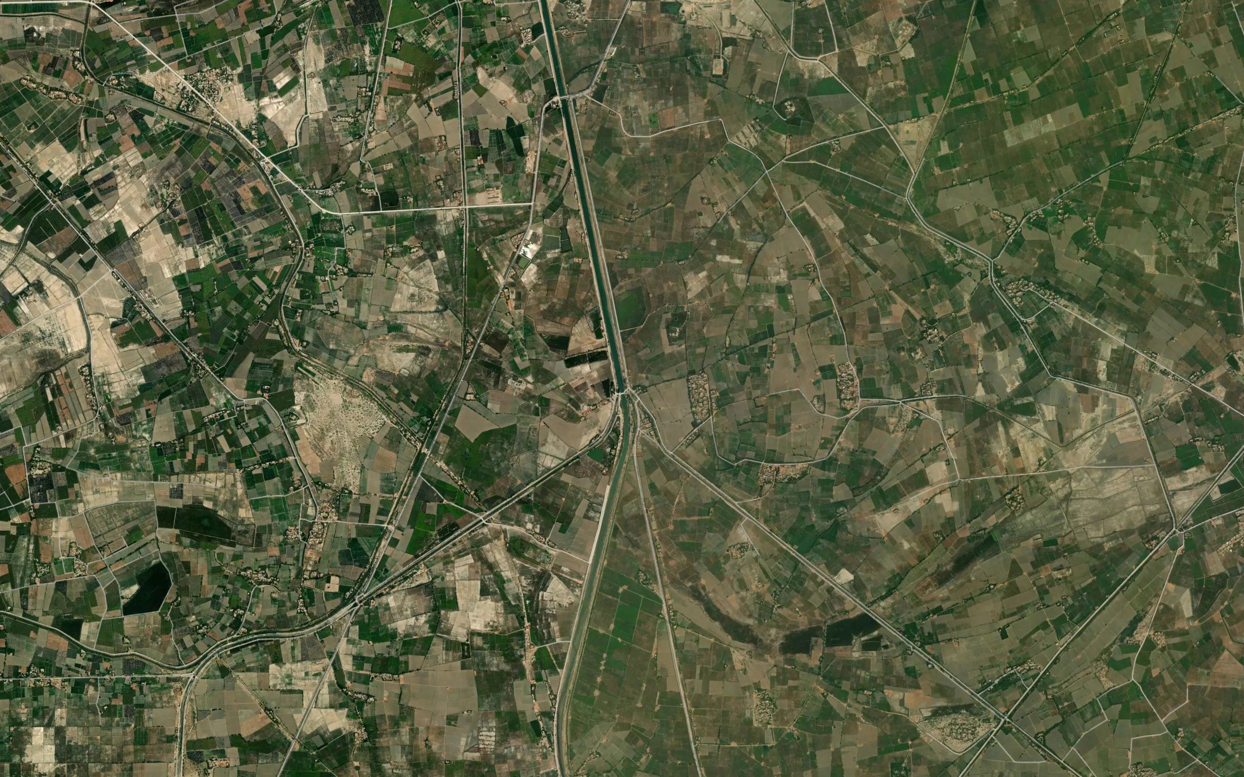 Goni Branch