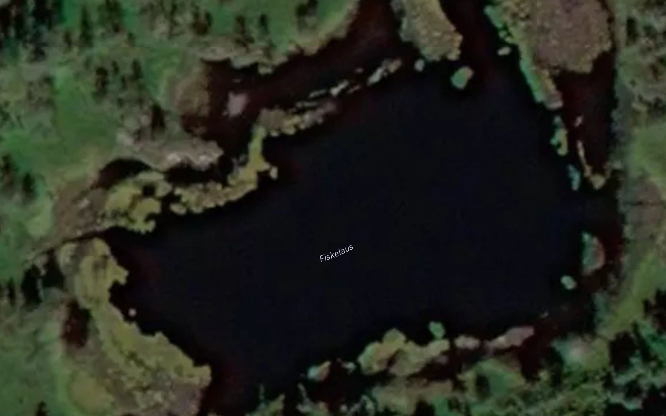 Fiskelaus