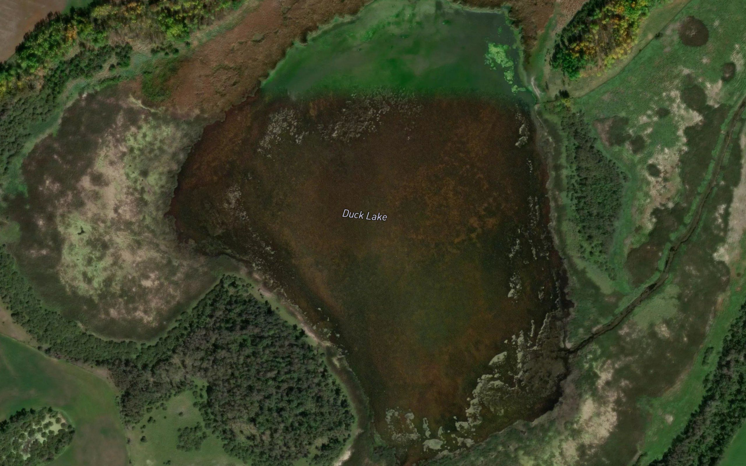 Duck Lake