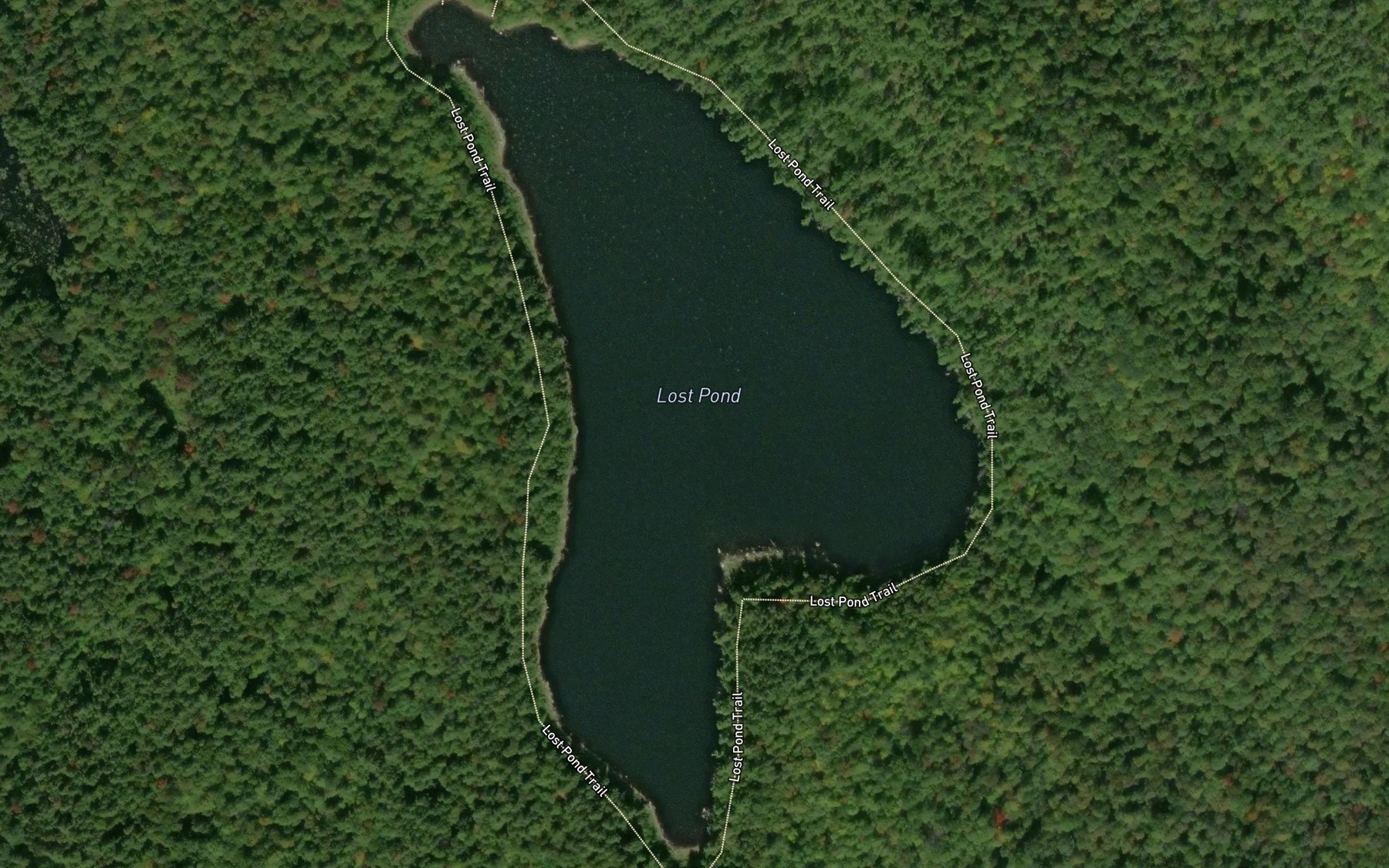 Lost Pond Fishing near Ticonderoga, NY | Fishbox