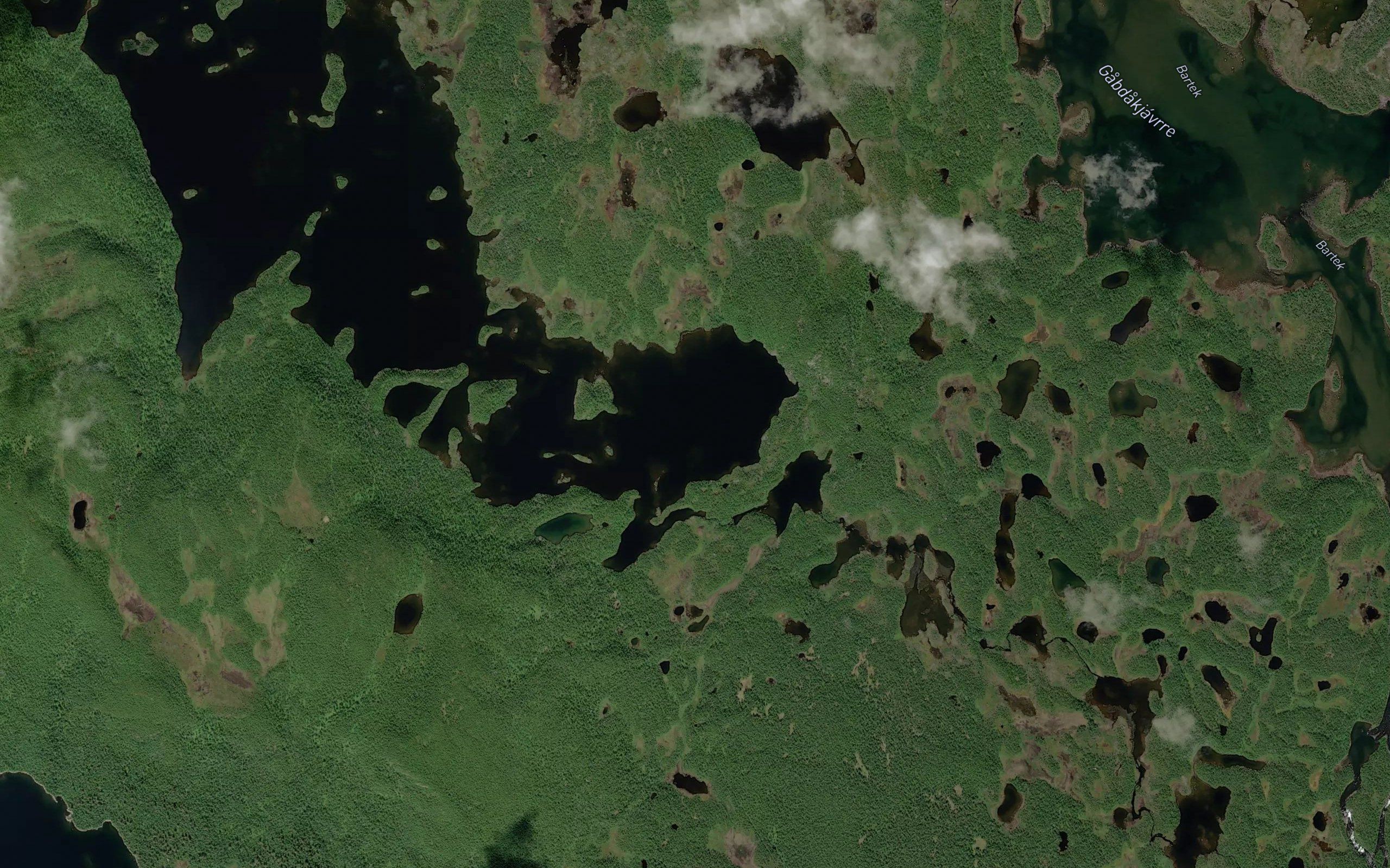 Misjkajaure