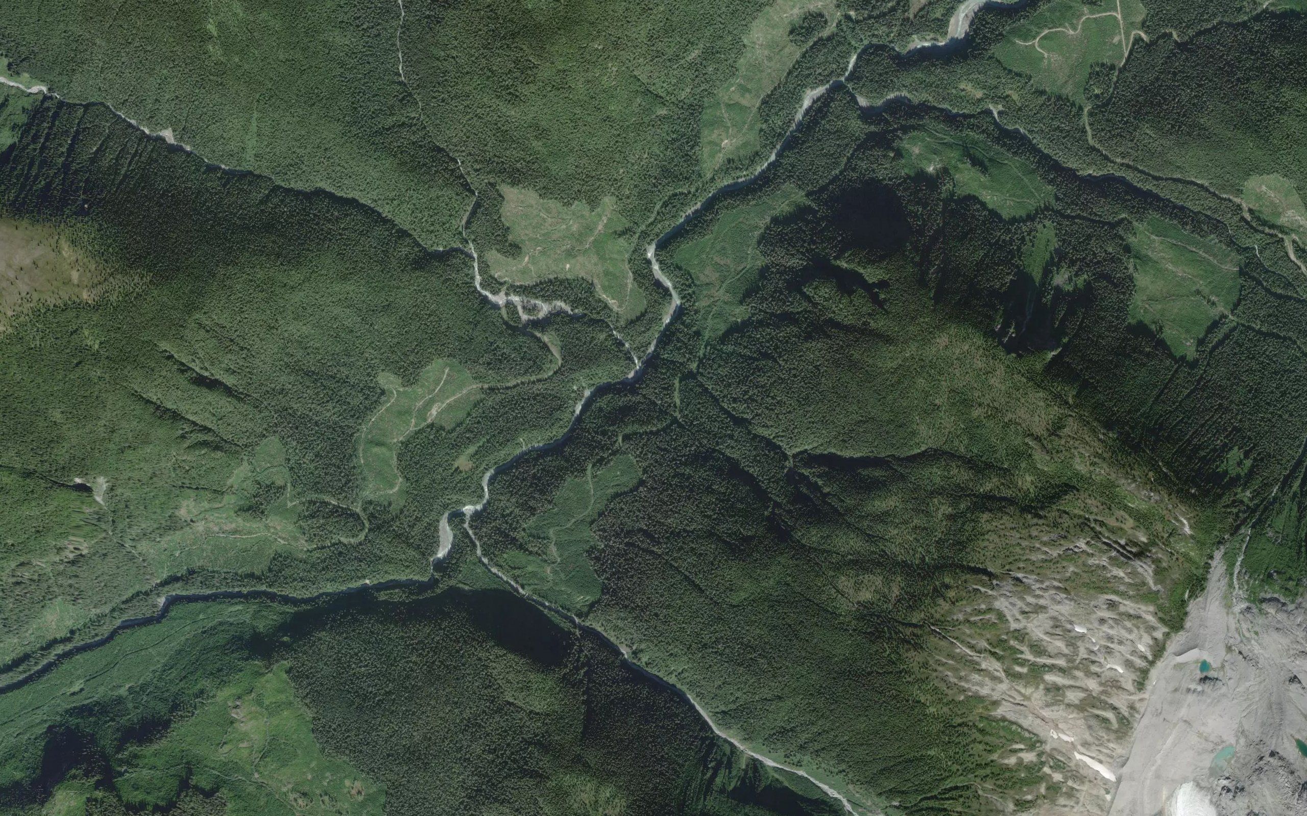 Ankitree Creek