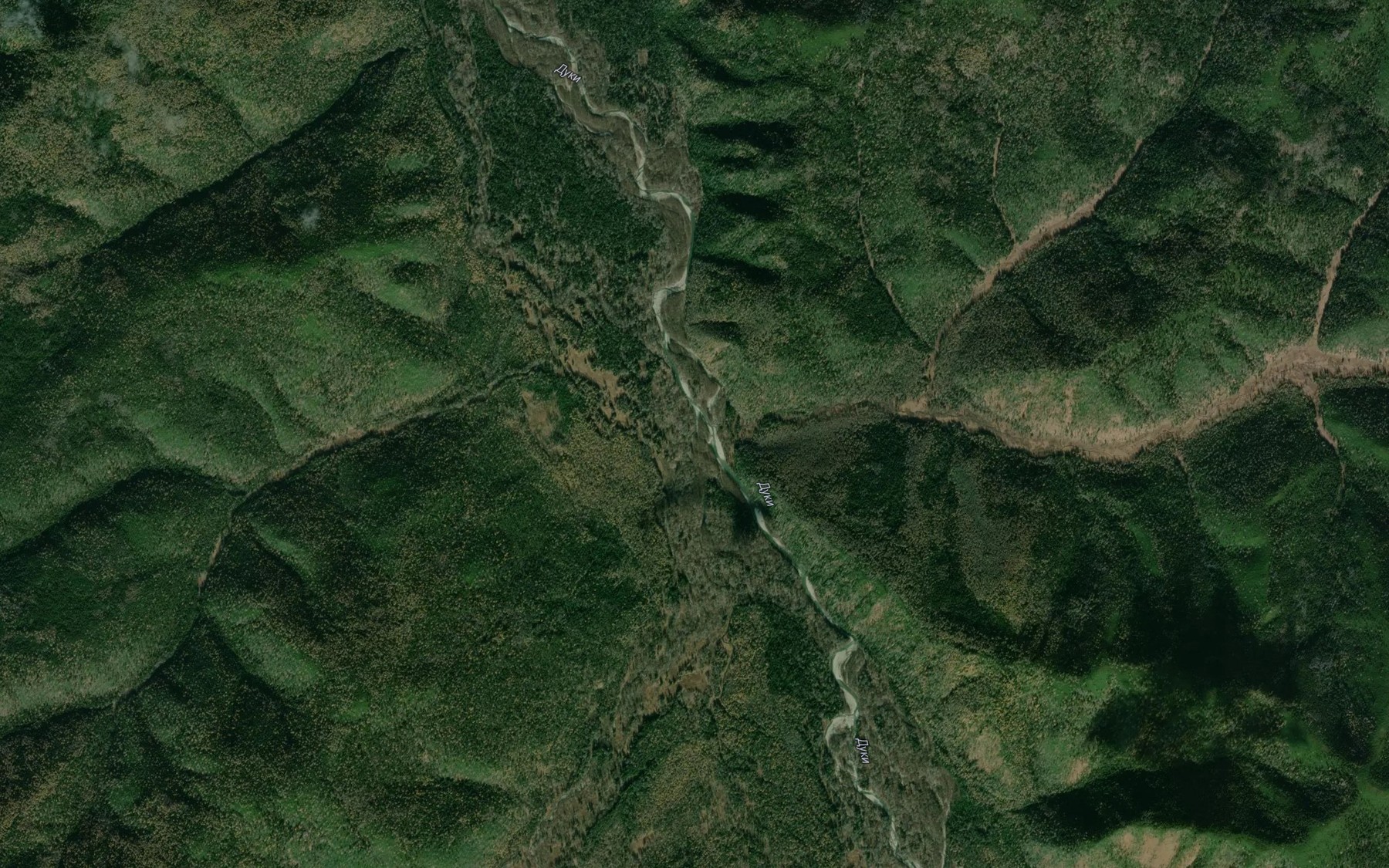 Satellite map of the Chistyy