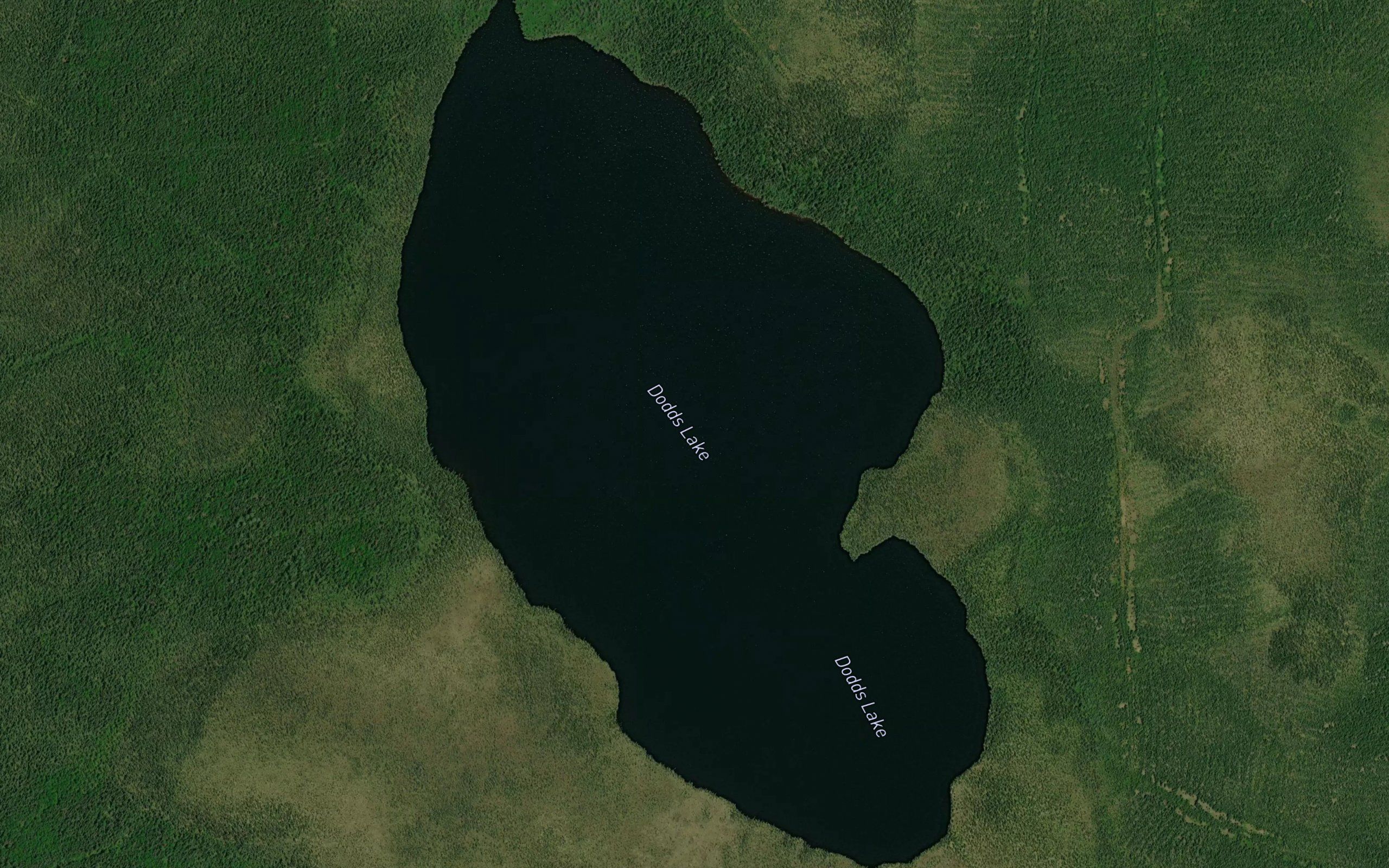 Dodds Lake