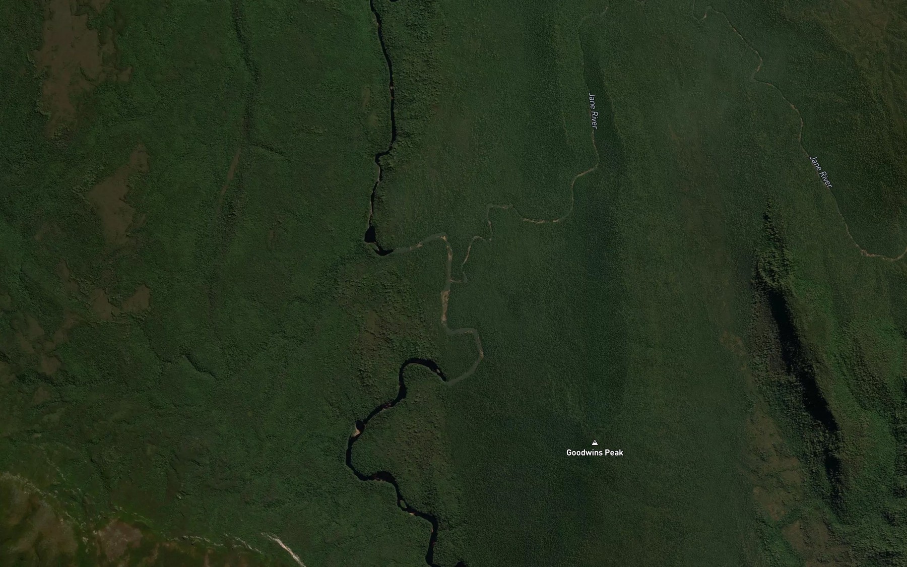 Satellite map of the Jane River
