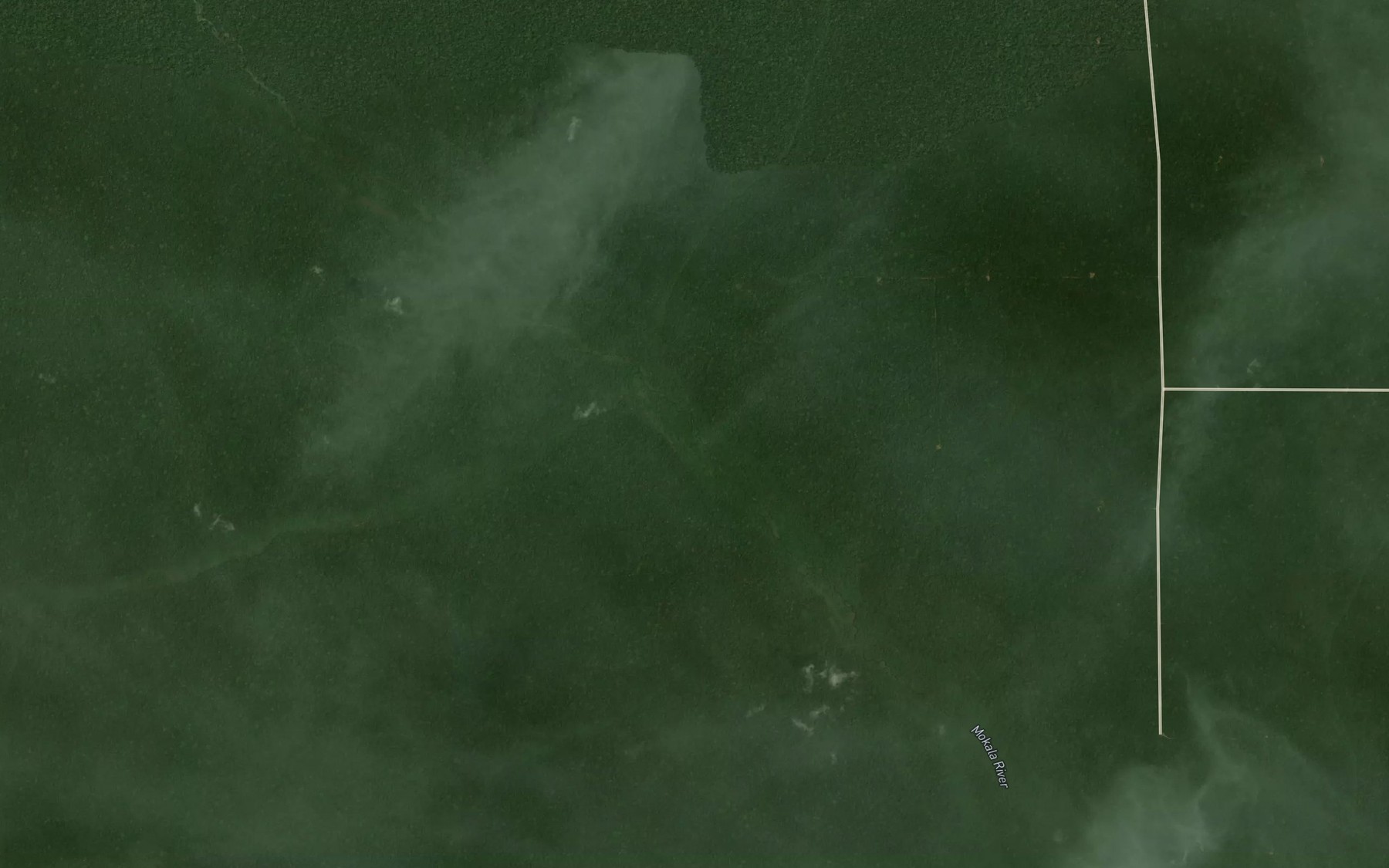 Satellite map of the Lopia