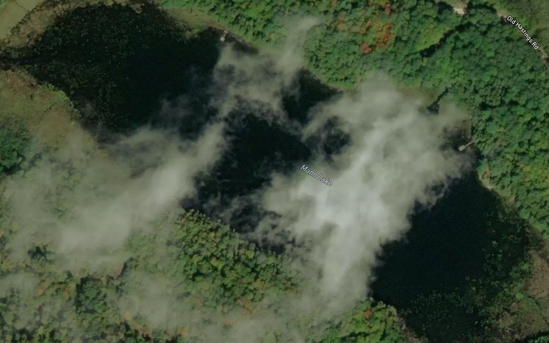 Satellite map of the Mann Lake