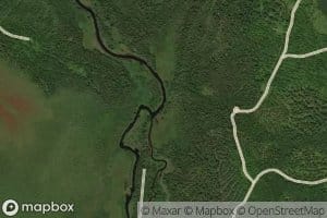 Nicatous Stream