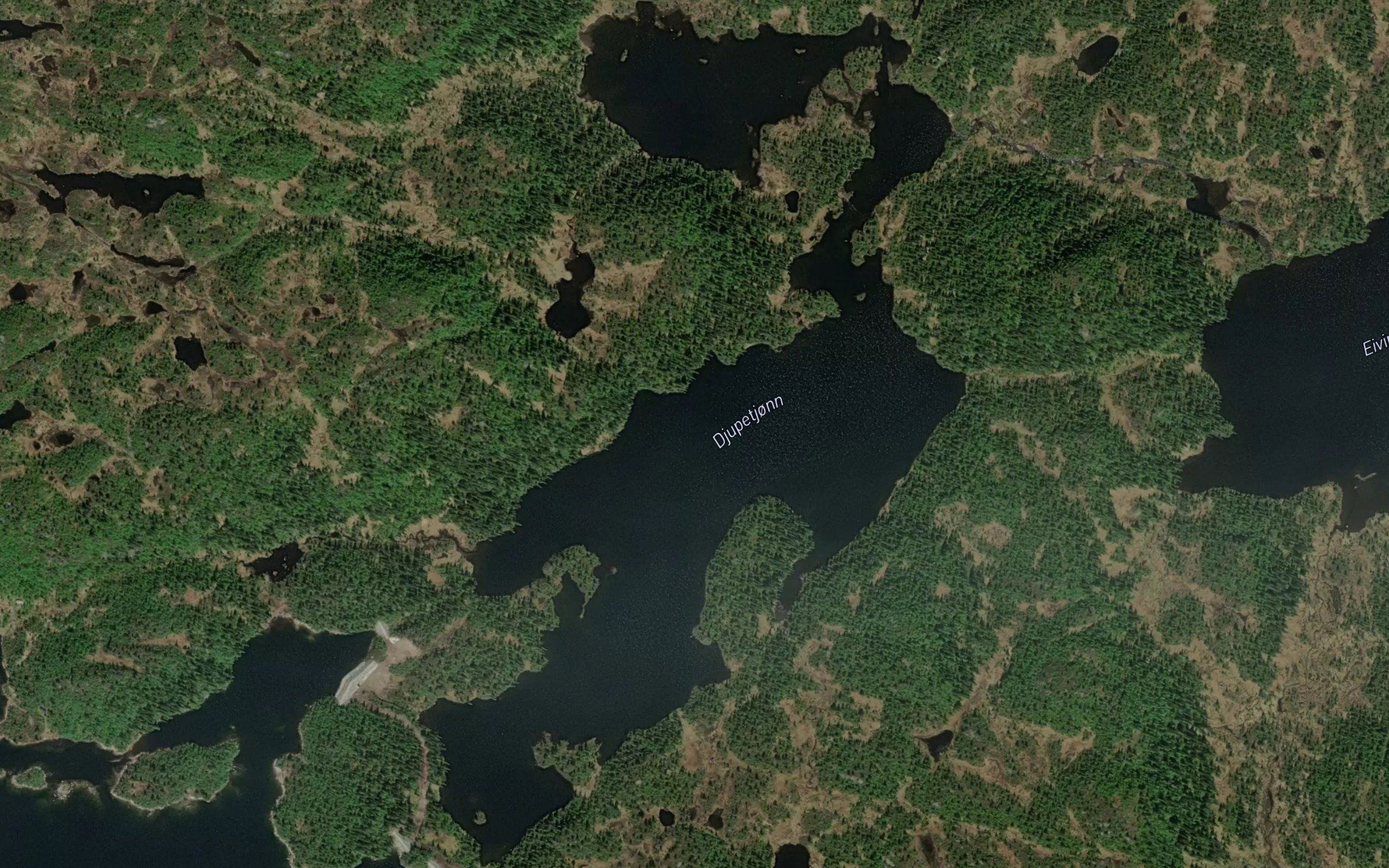 Djupetjorn