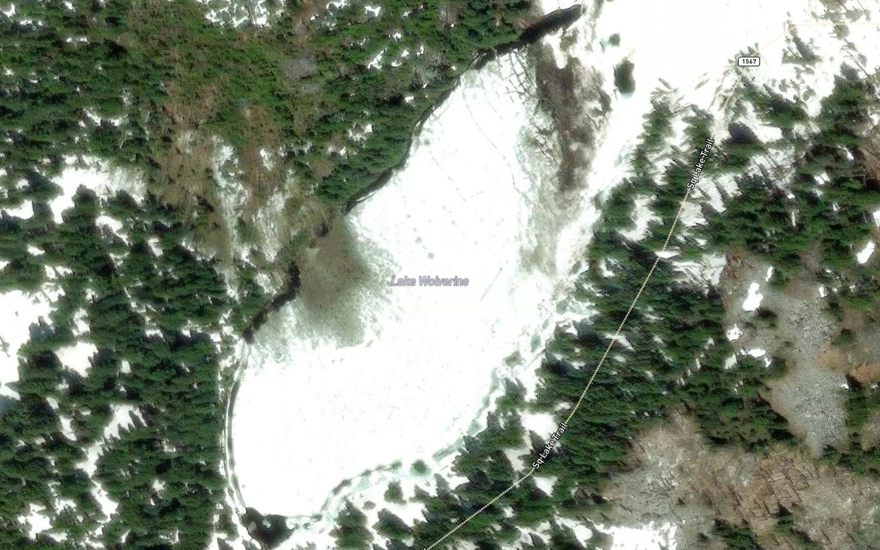 Satellite map of the Lake Wolverine