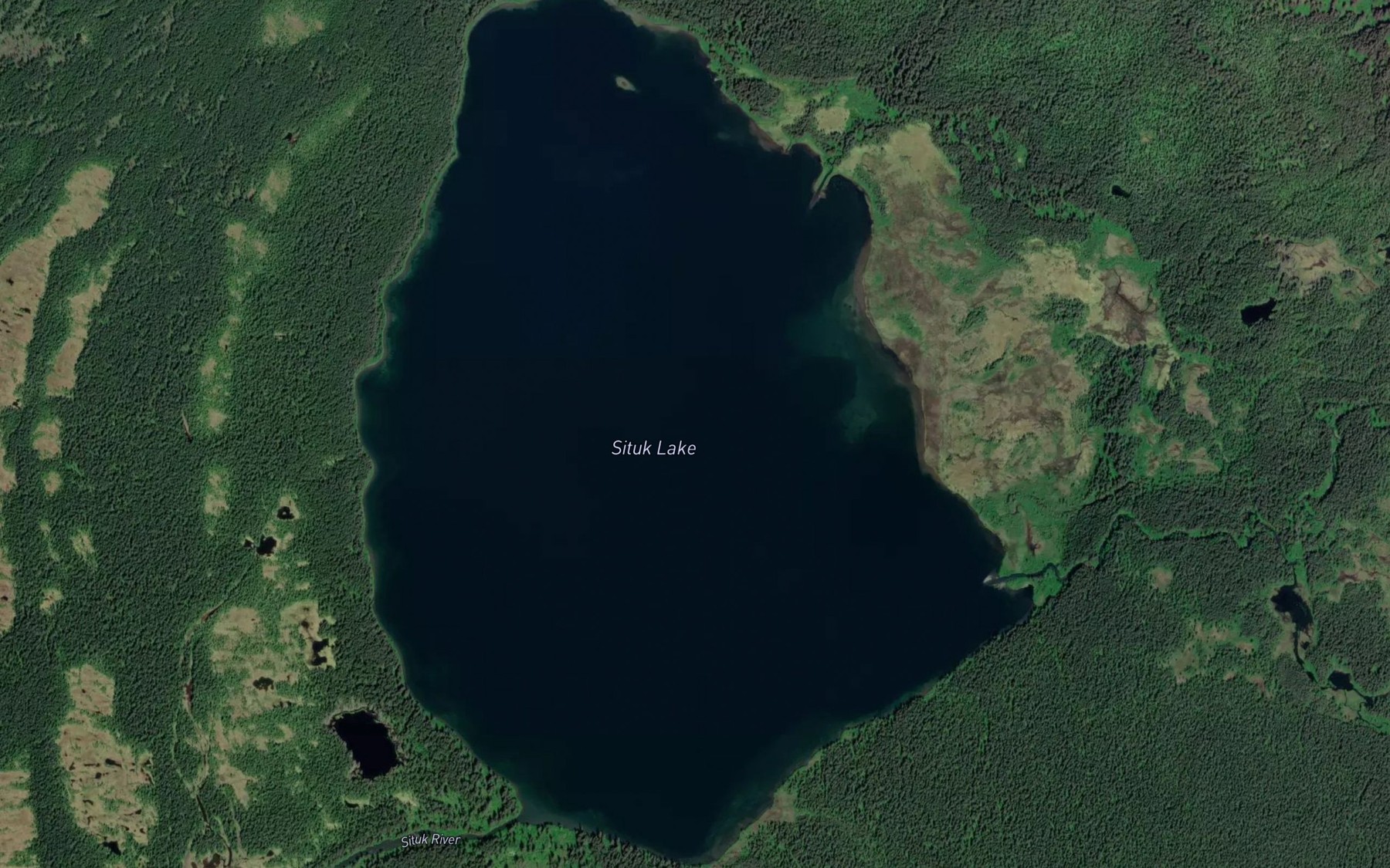 Satellite map of the Situk Lake