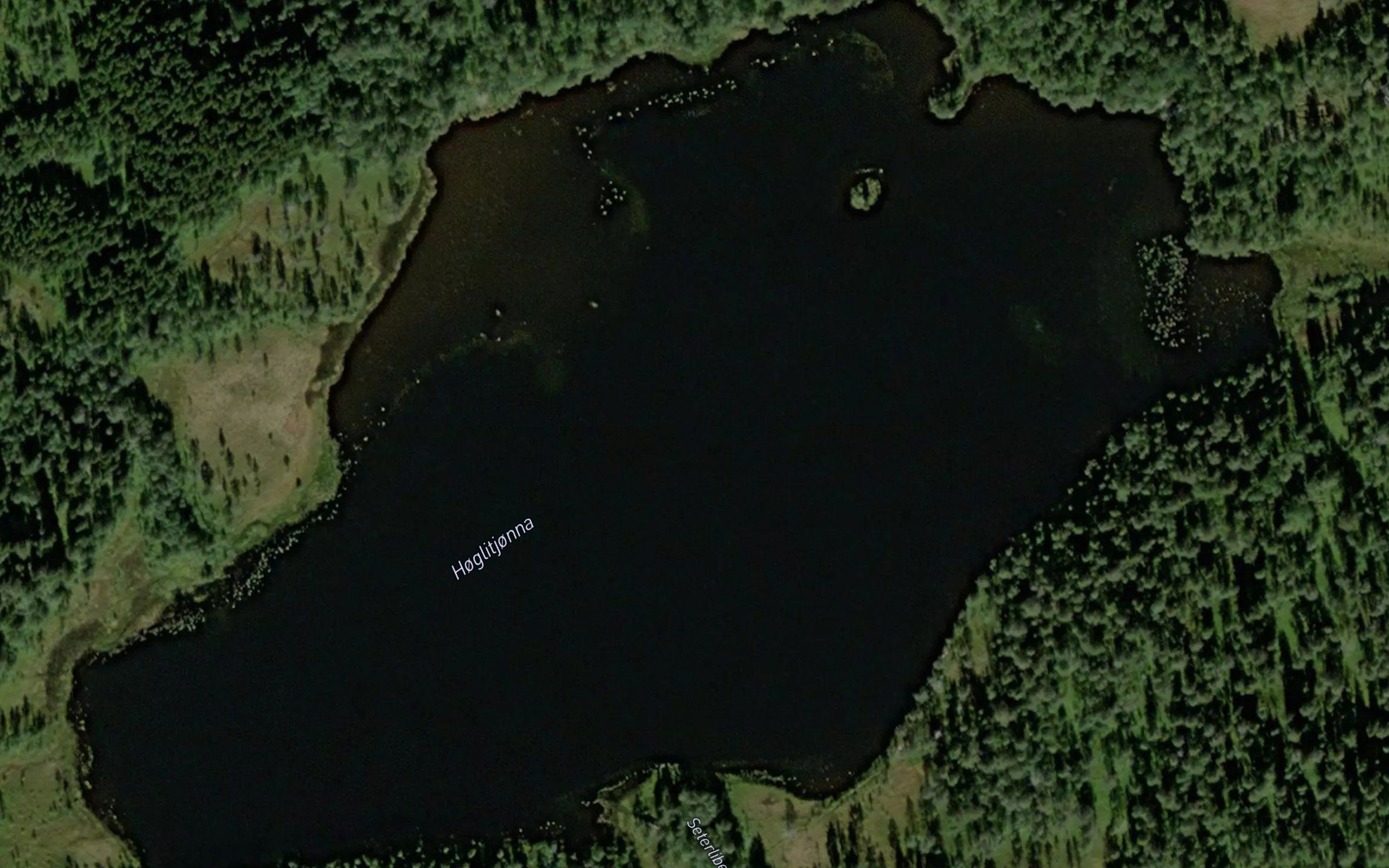 Hoglitjorna
