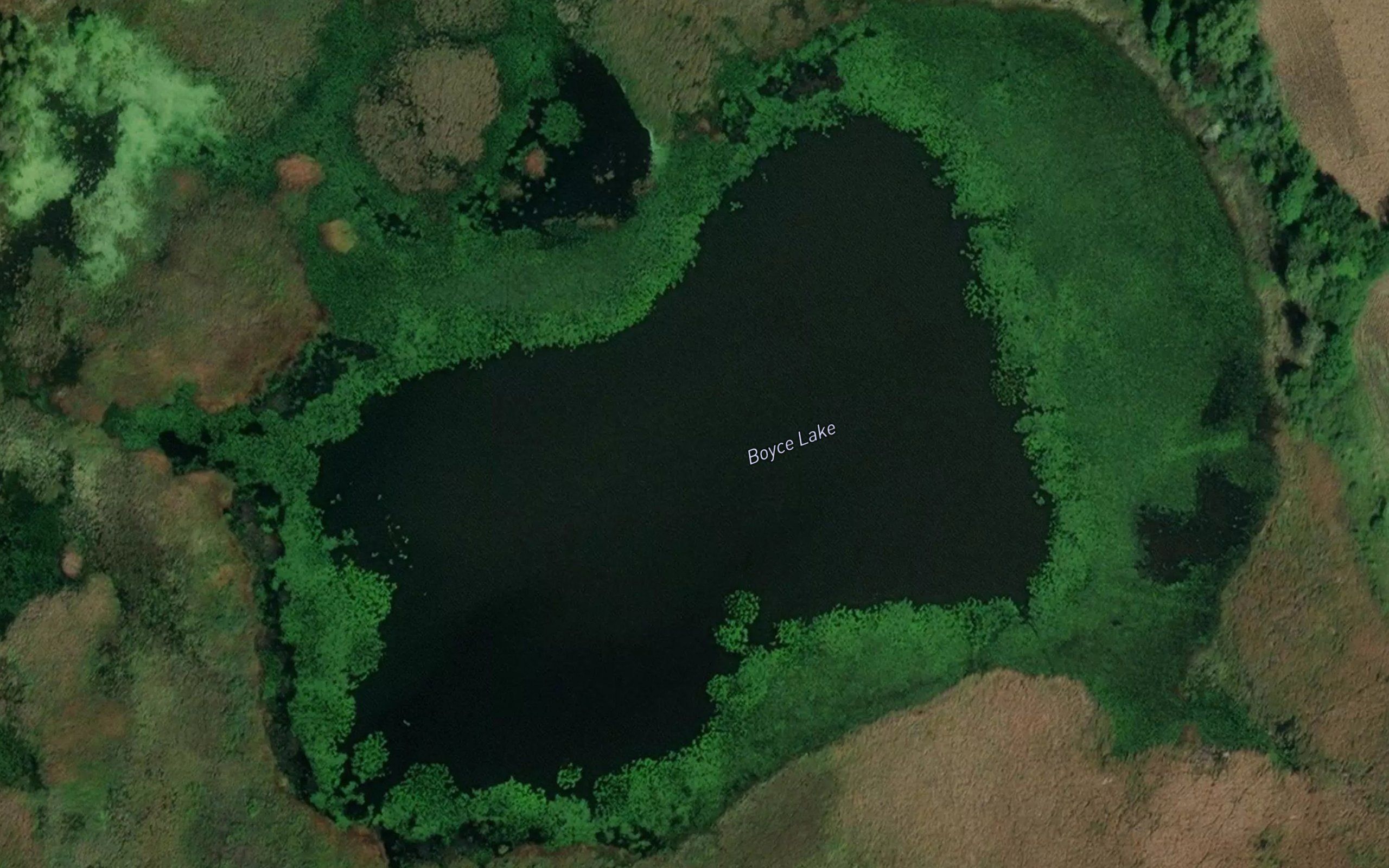 Boyce Lake