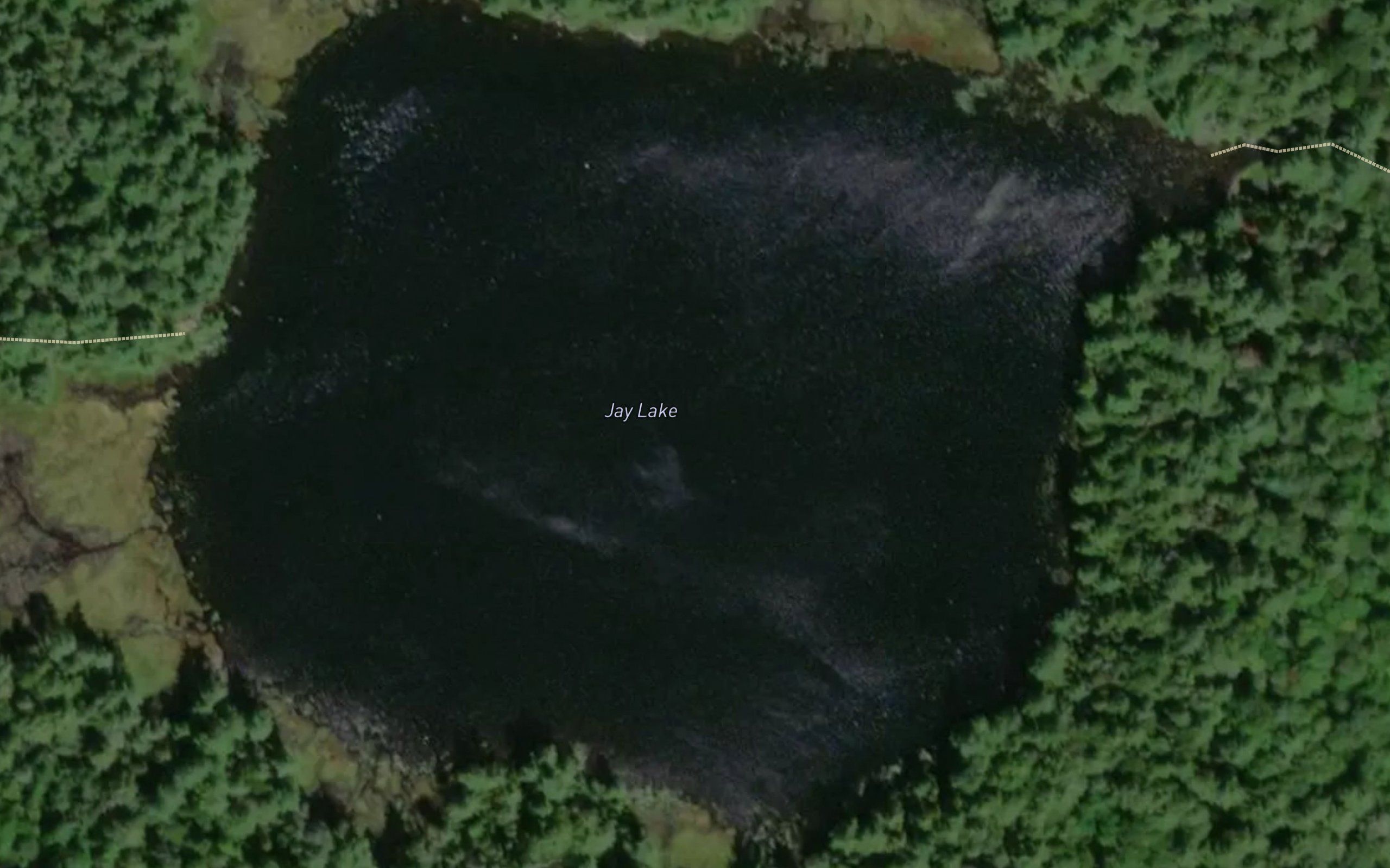 Jay Lake