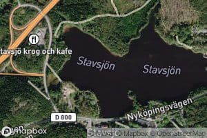 Stavsjon