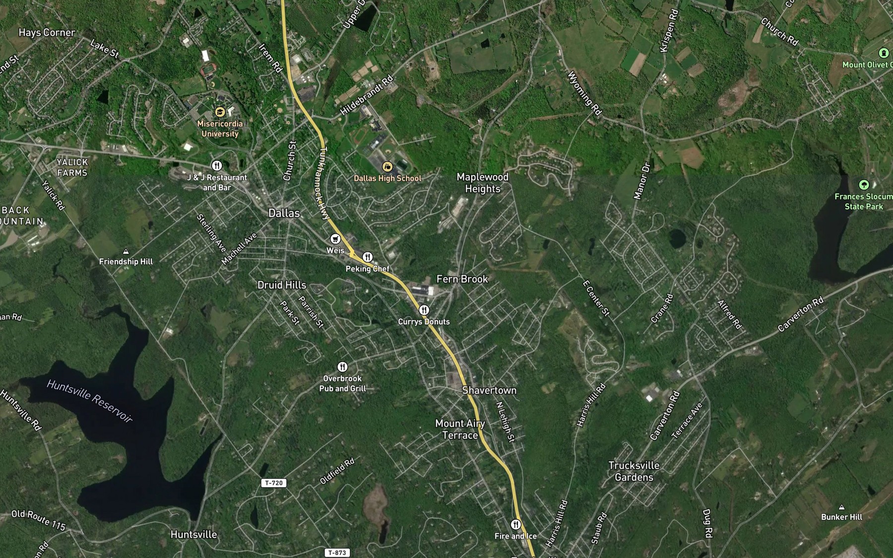 Satellite map of the Trout Brook