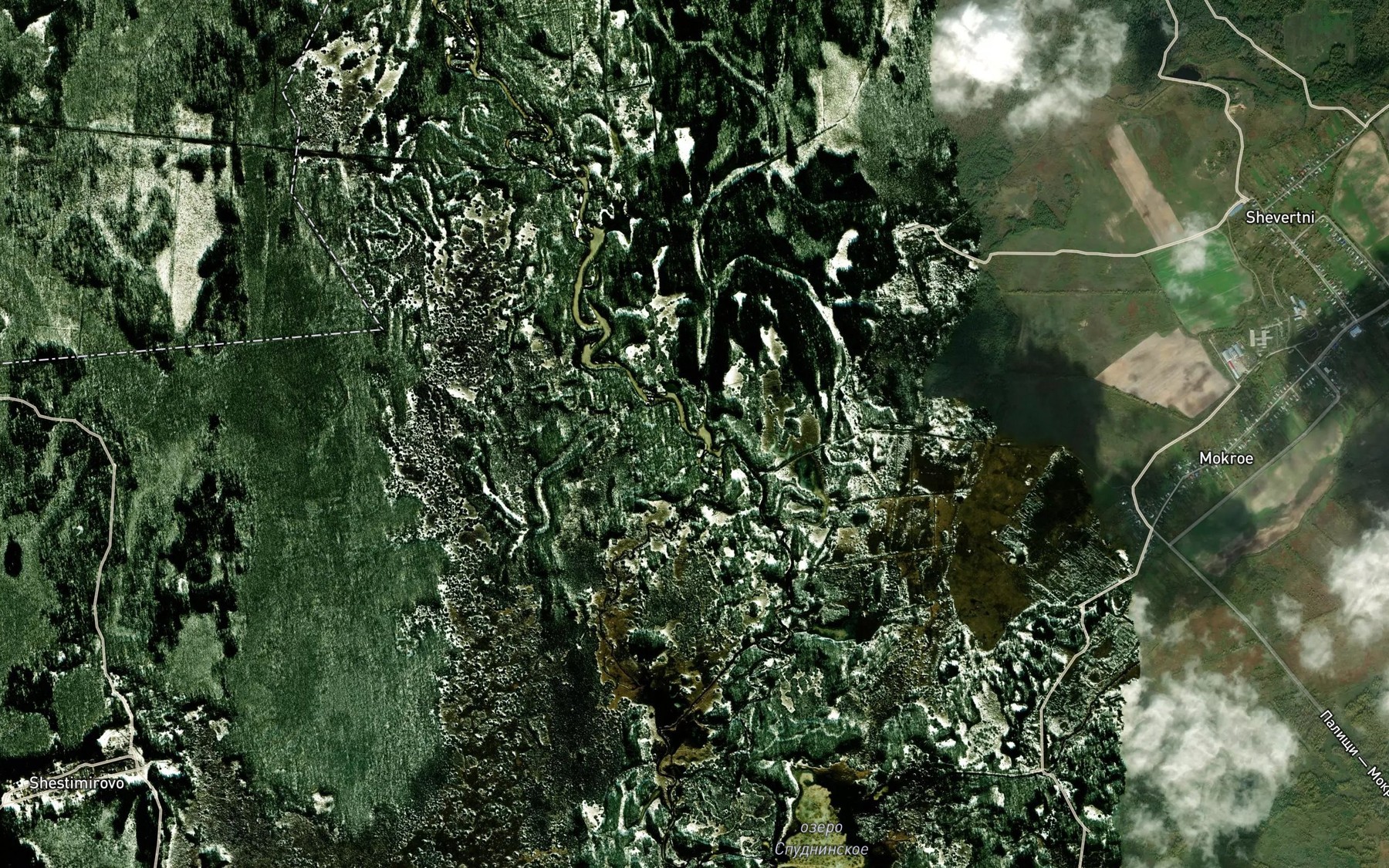 Satellite map of the Buzha