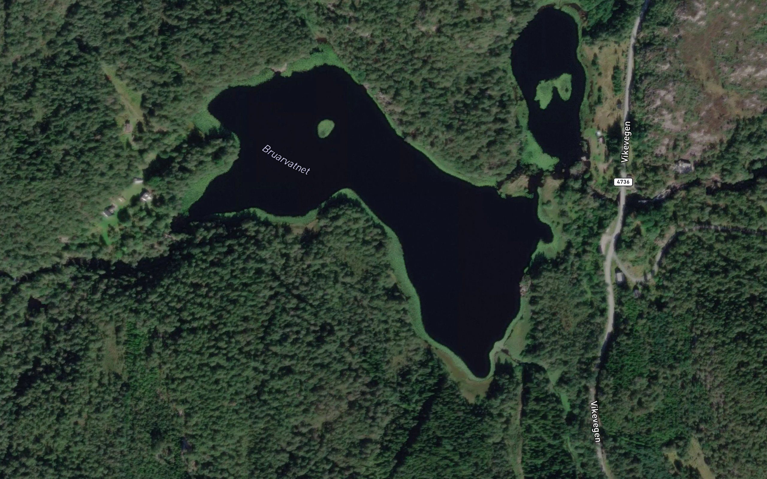 Bruarevatnet