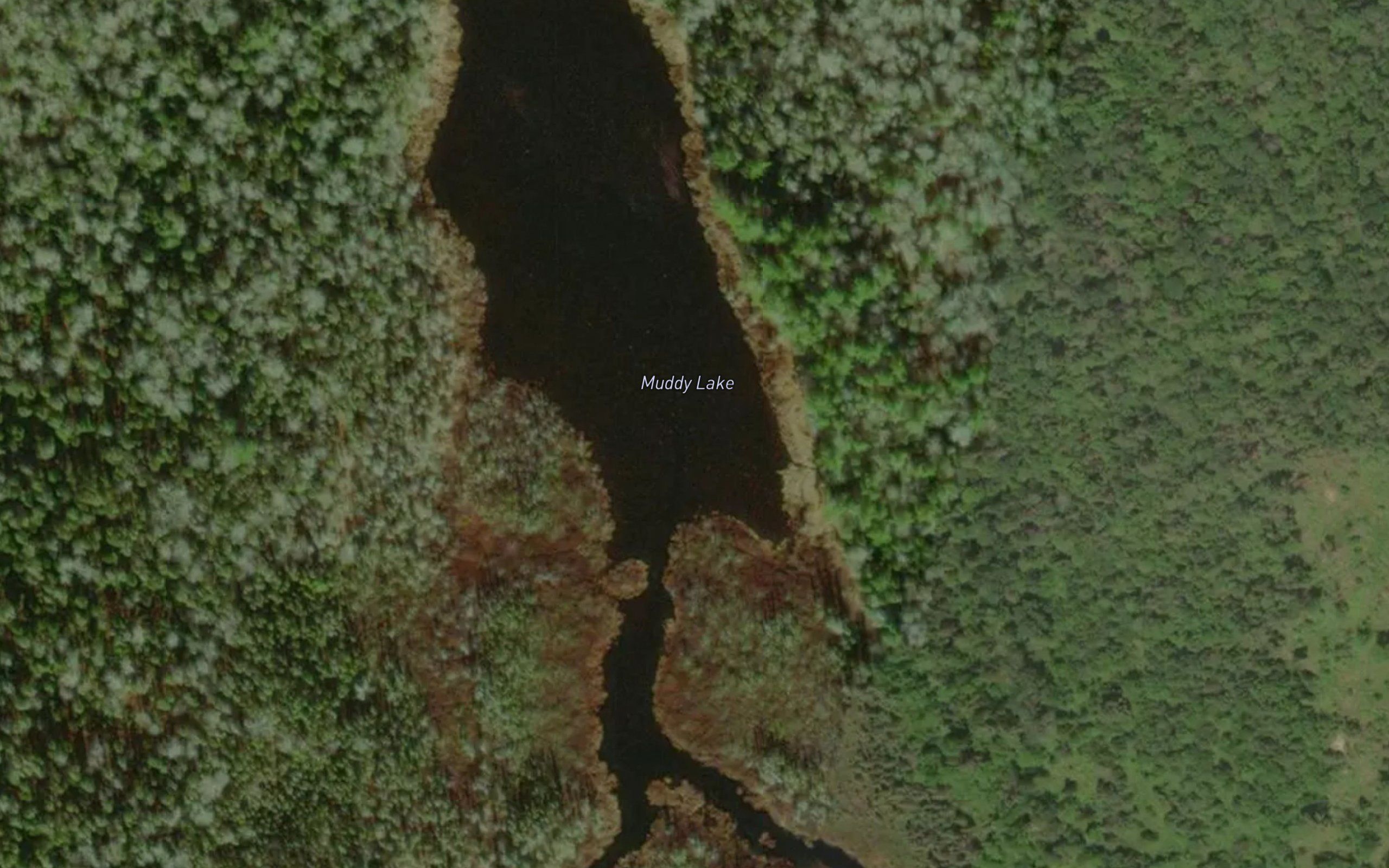 Muddy Lake