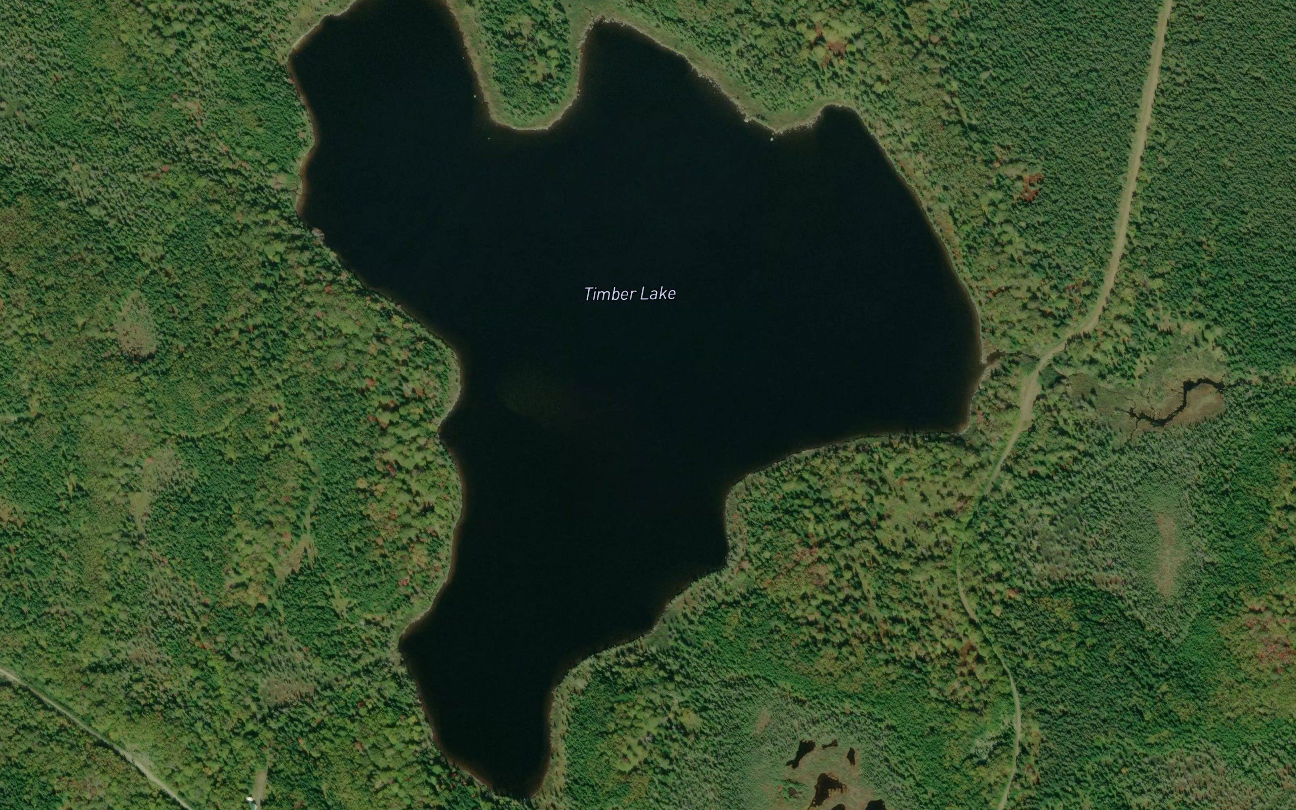Timber Lake