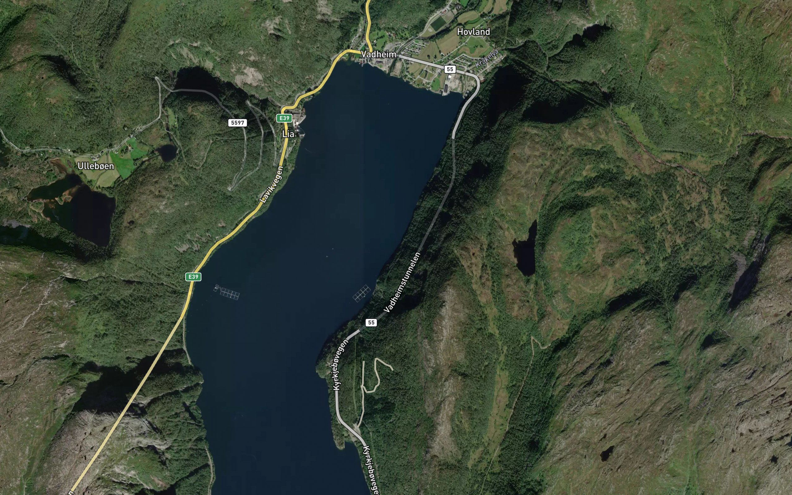 Byrkjevika