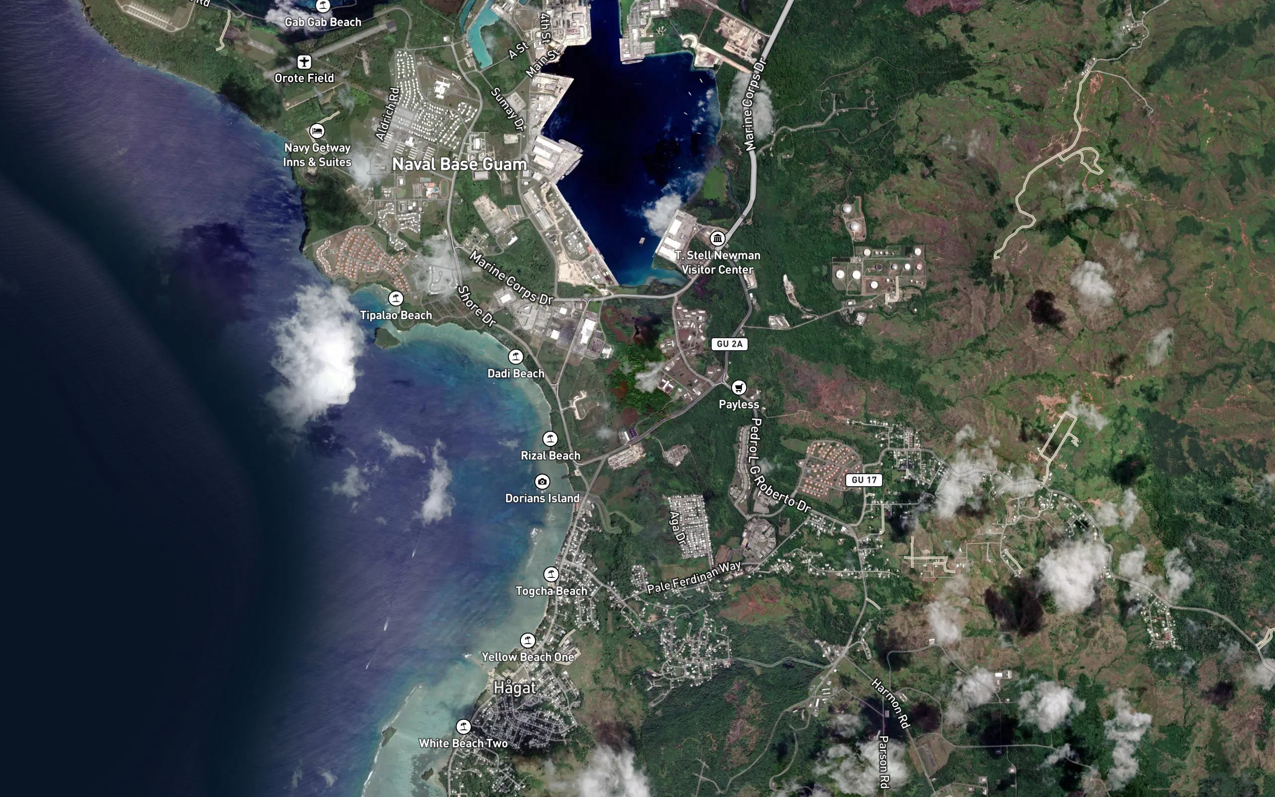Santa Rita Mangrove Swamp