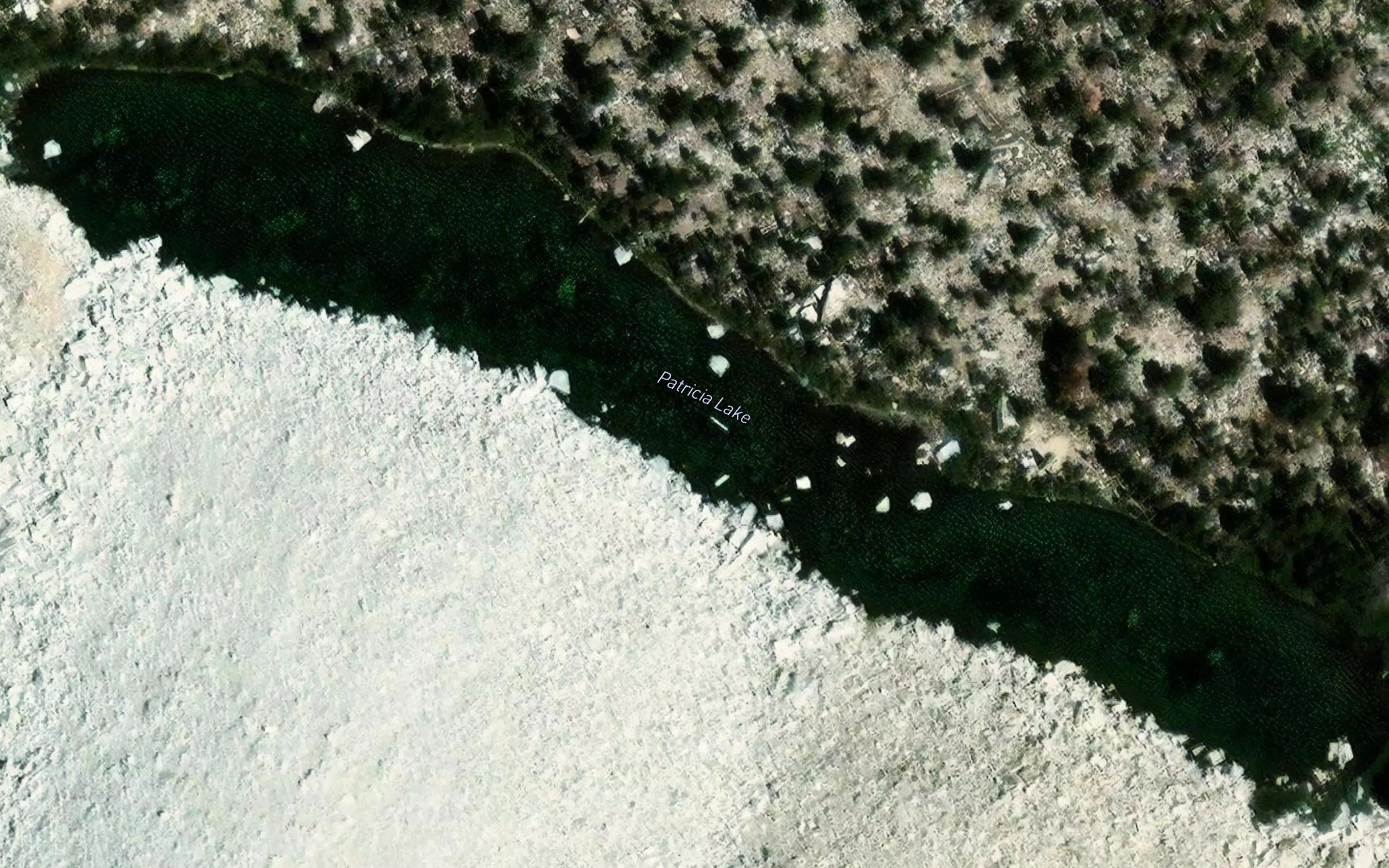 Patricia Lake