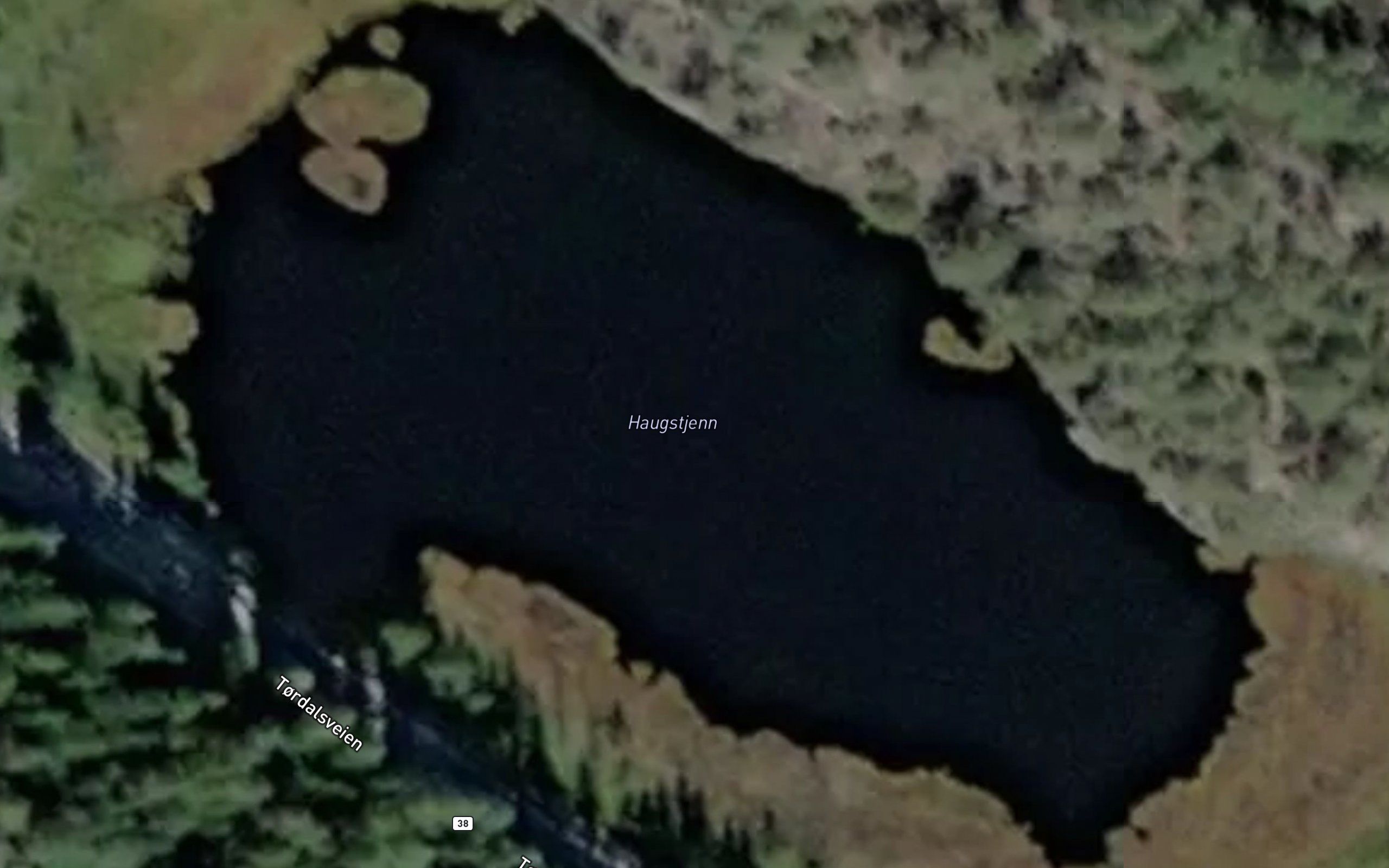 Haugstjenn