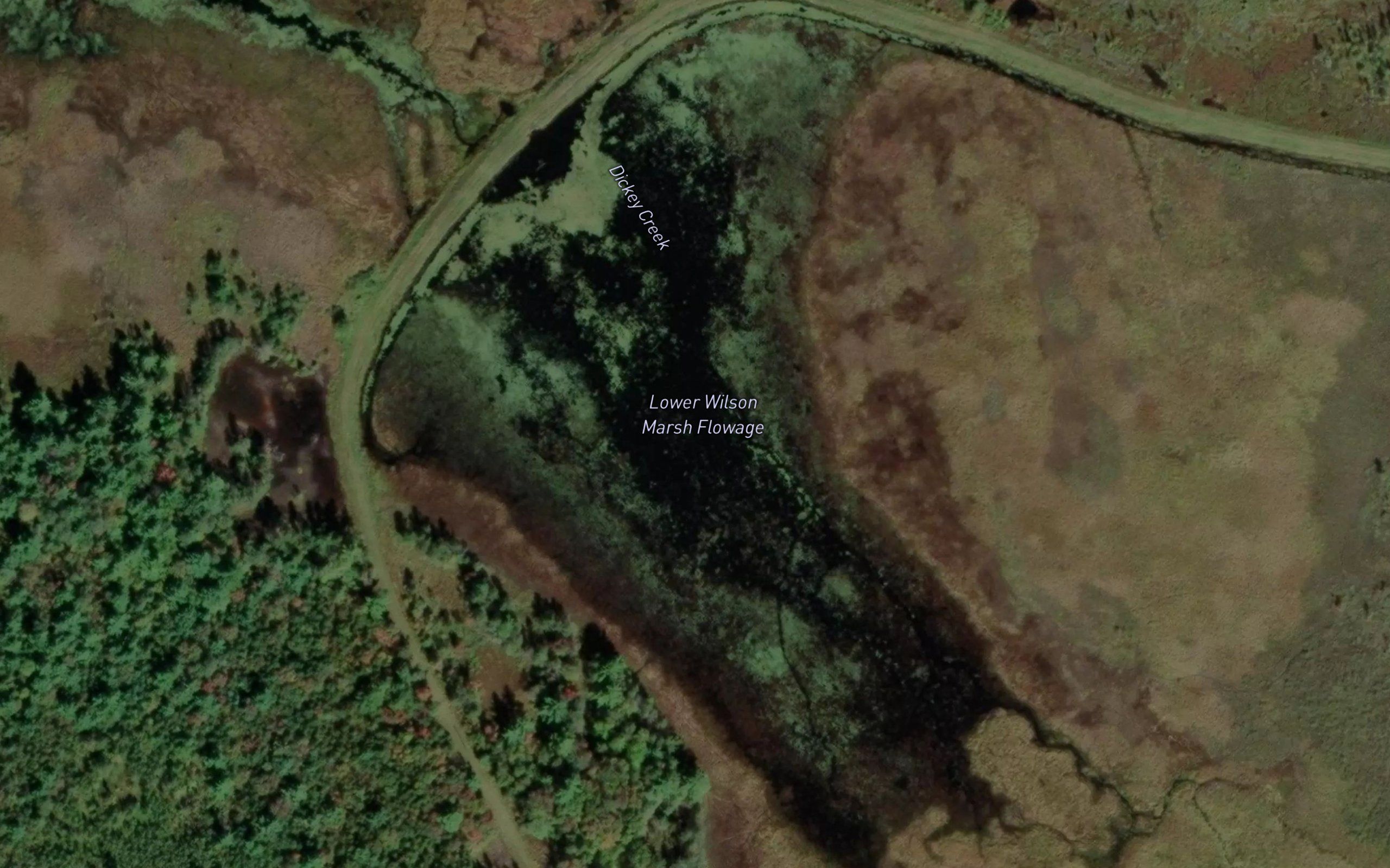 Lower Wilson Marsh Flowage