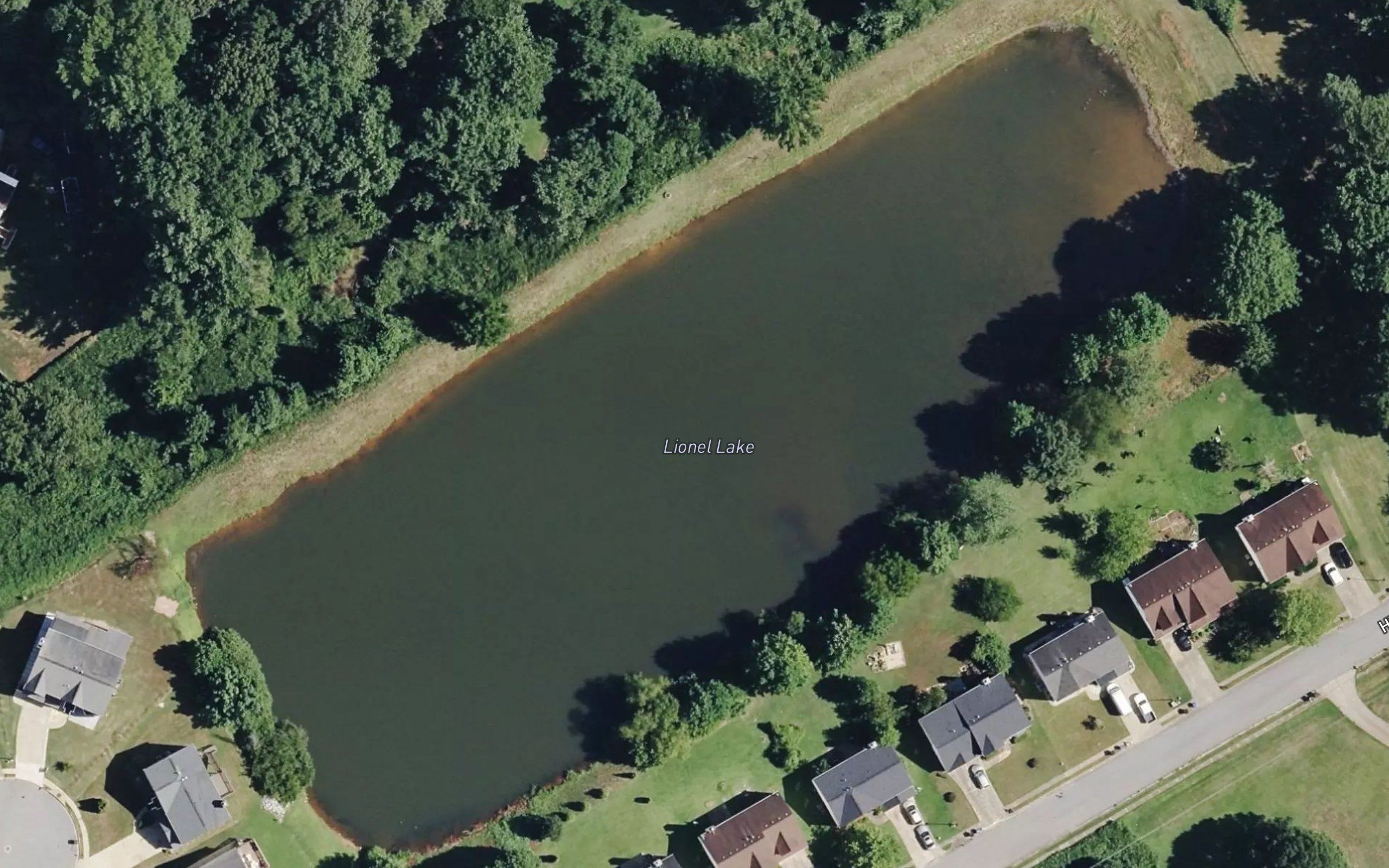 Lionel Lake