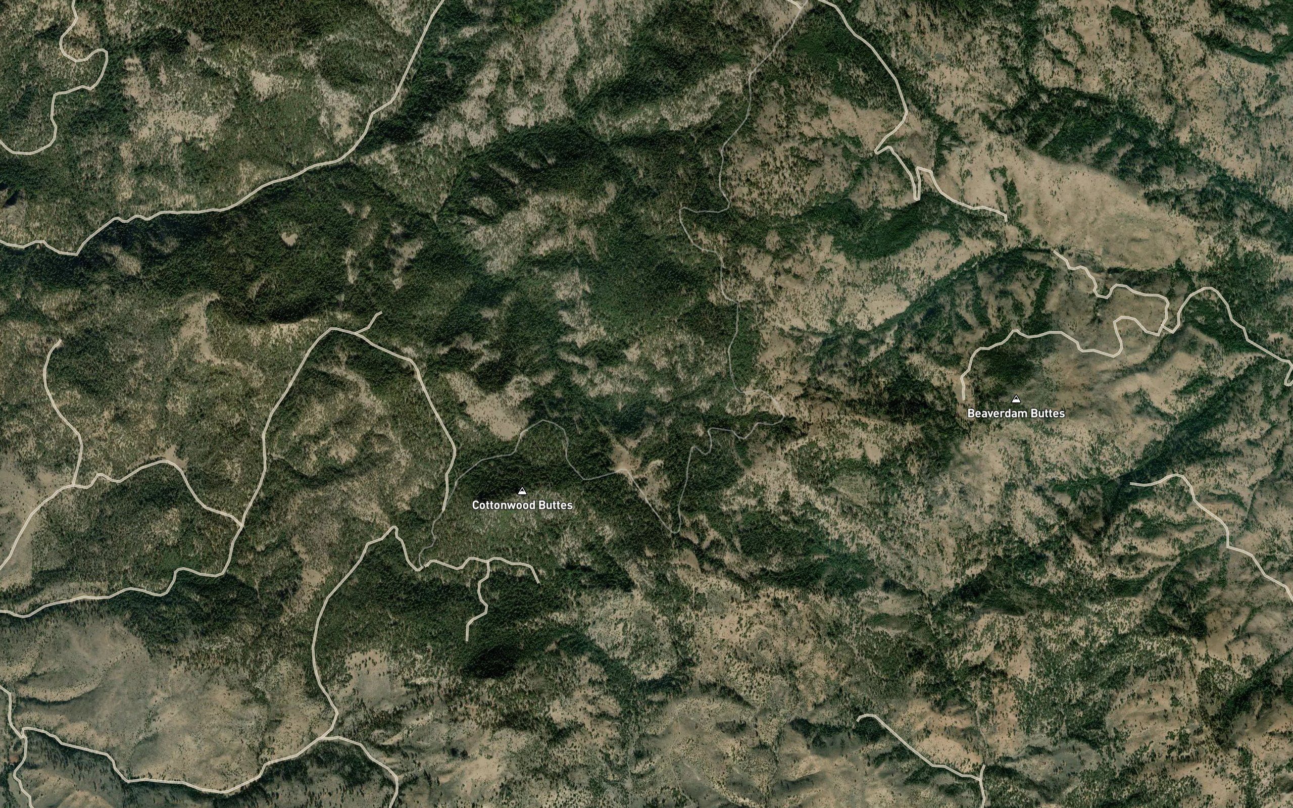 South China Spring