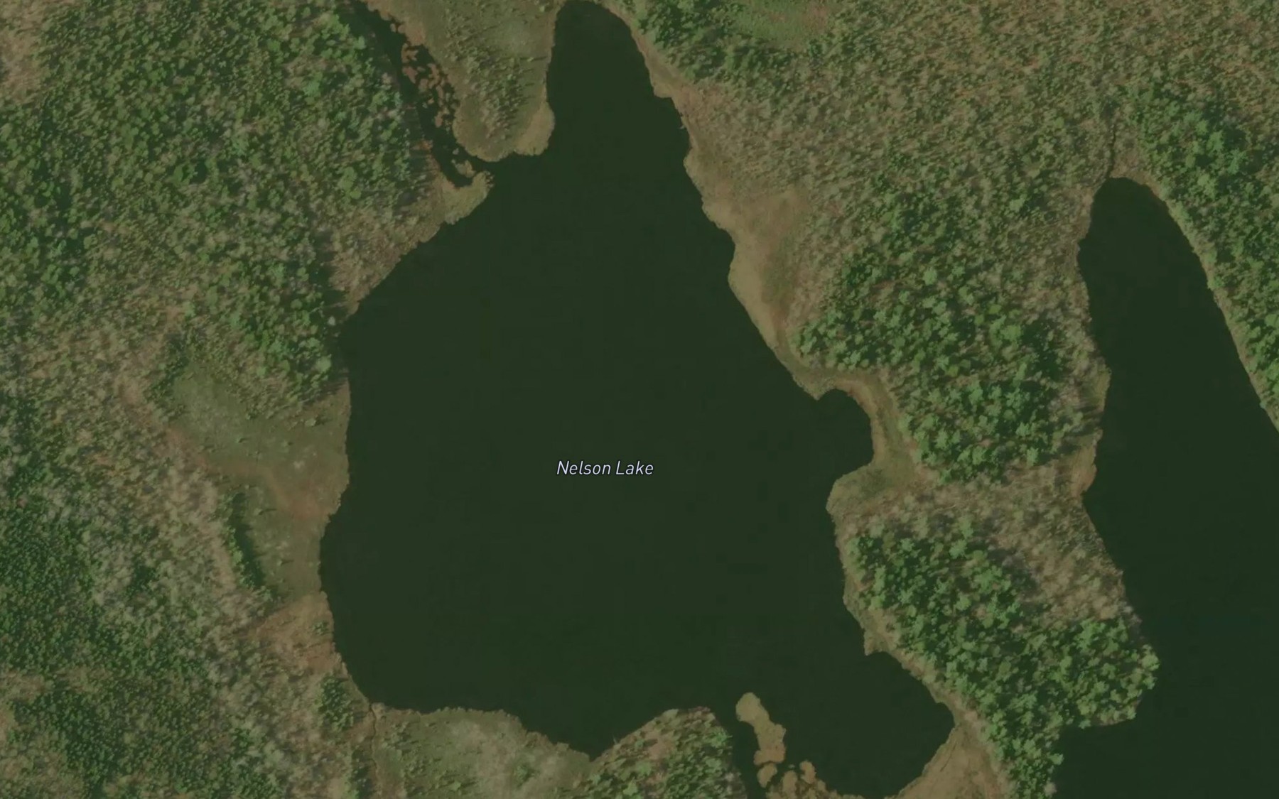 Satellite map of the Nelson Lake