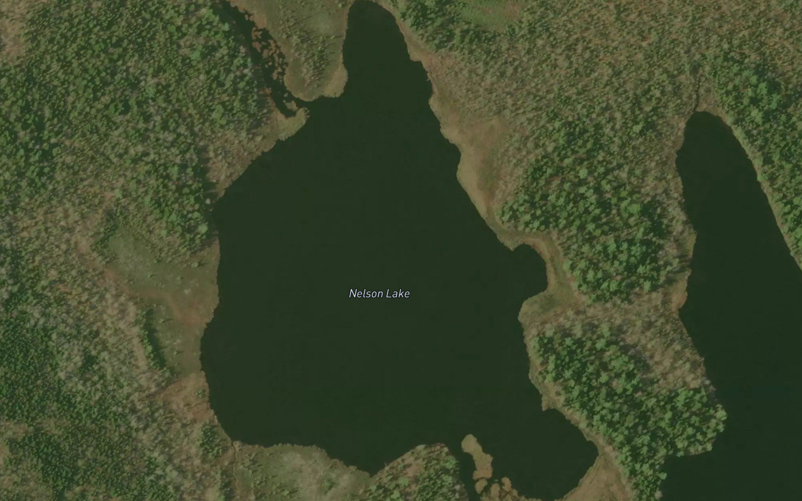 Nelson Lake