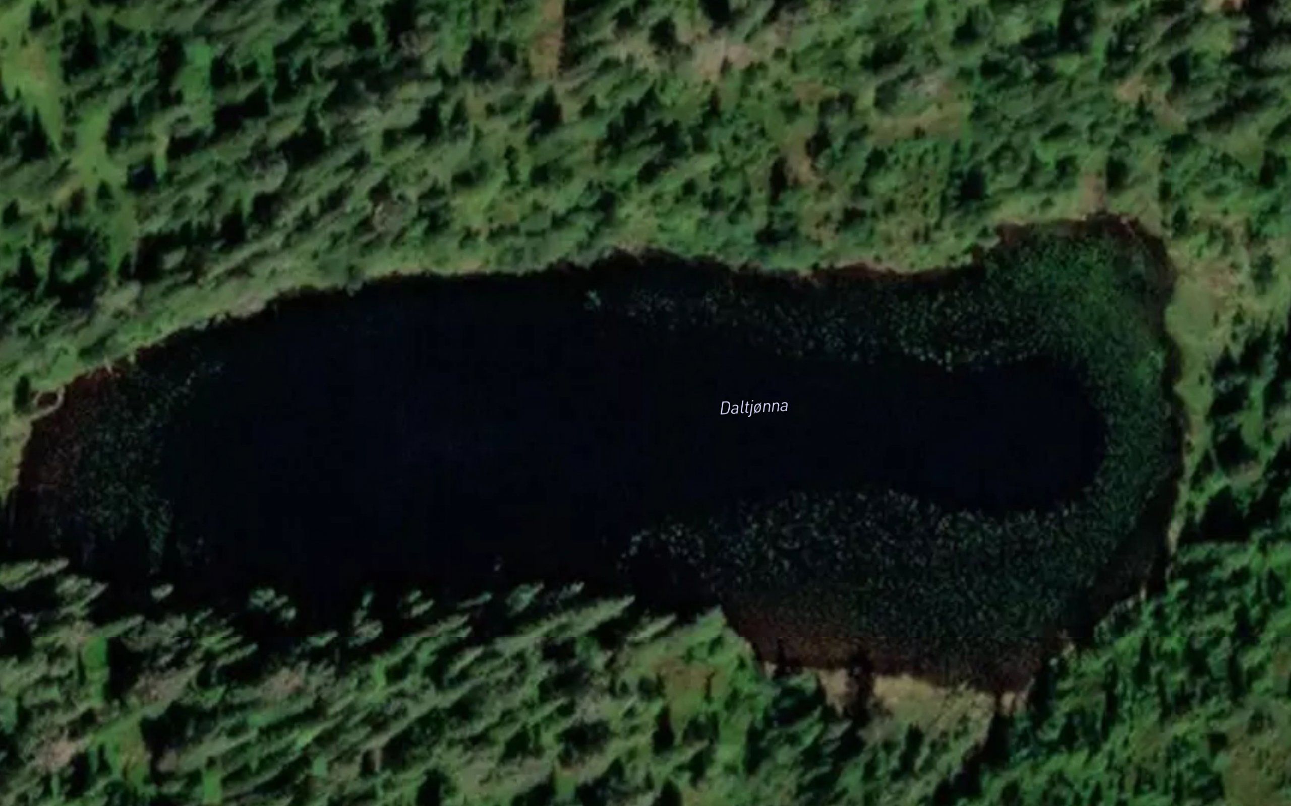 Daltjorna